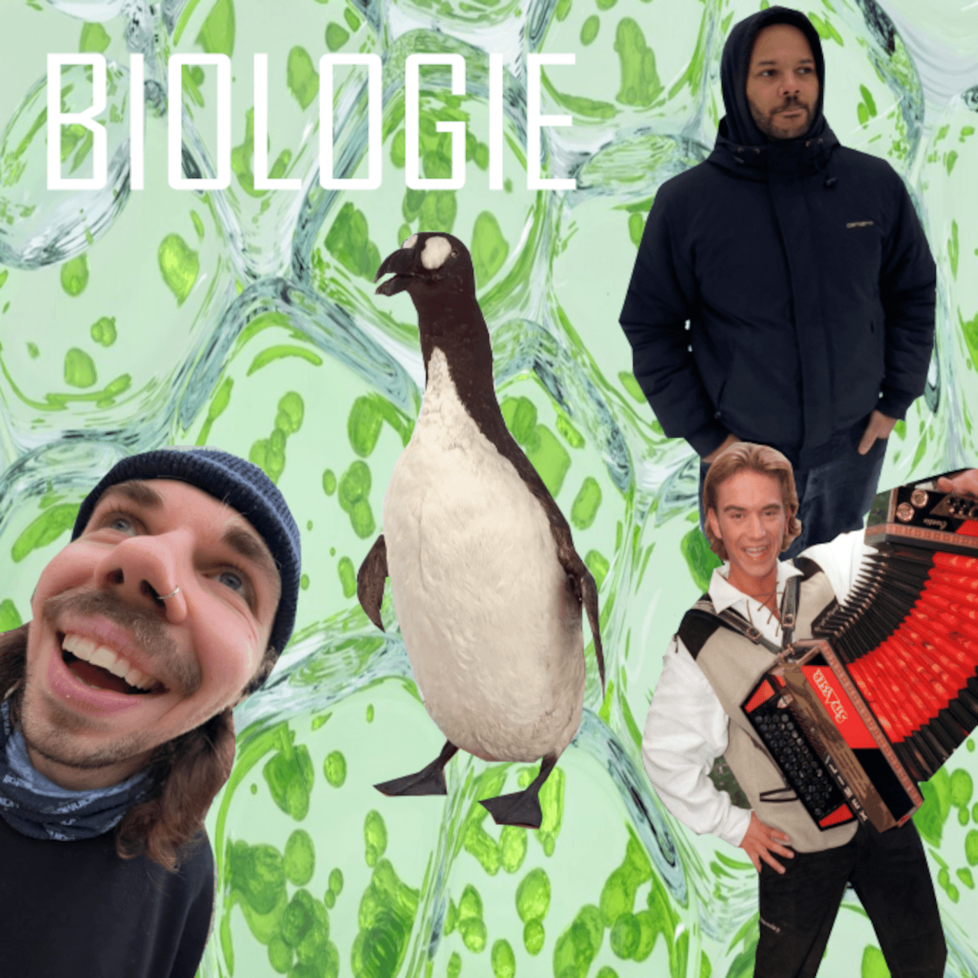 Biologie - Tomate Swiebel cover