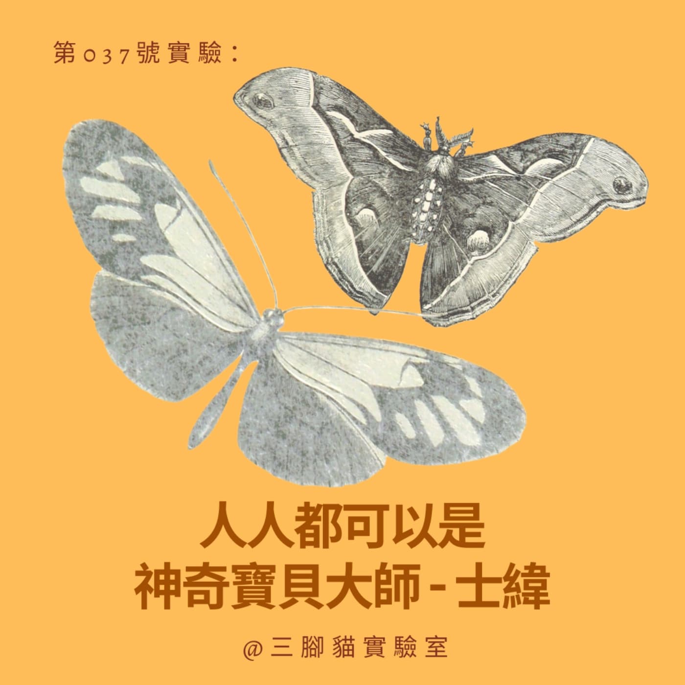 第 037 號實驗：人人都可以是神奇寶貝大師 - 士緯 - 三腳貓實驗室 Tripod Cat's Great Adventure cover