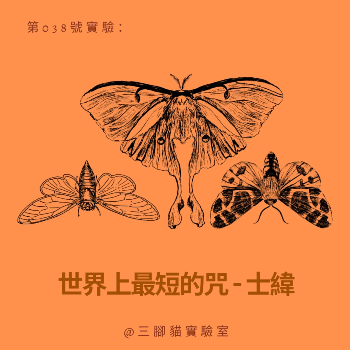 第 038 號實驗：世界上最短的咒 - 士緯 - 三腳貓實驗室 Tripod Cat's Great Adventure cover