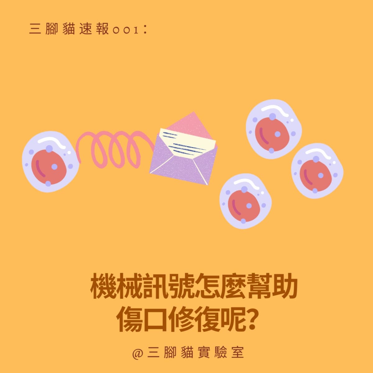 三腳貓速報 001：機械訊號怎麼幫助傷口修復呢？ - 三腳貓實驗室 Tripod Cat's Great Adventure cover