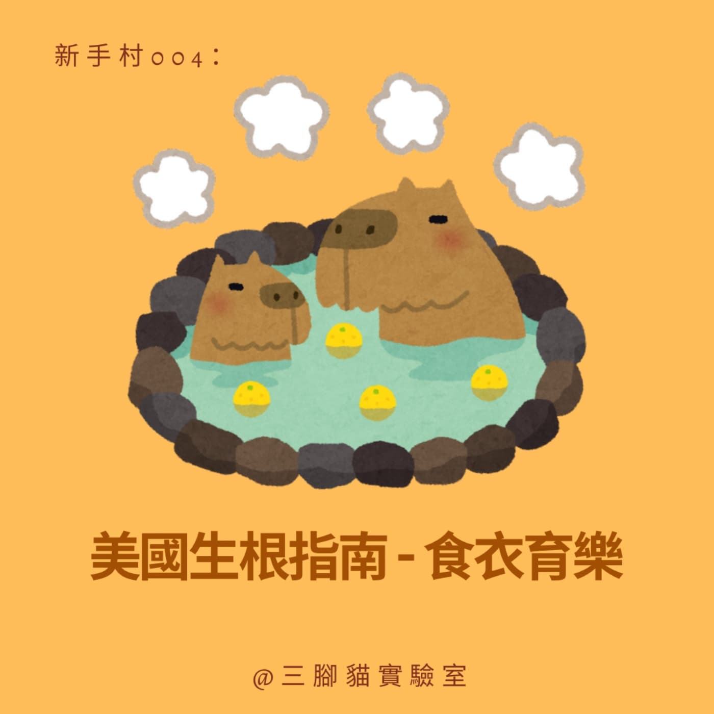 新手村 004： 美國生根指南-食衣育樂 - 三腳貓實驗室 Tripod Cat's Great Adventure cover