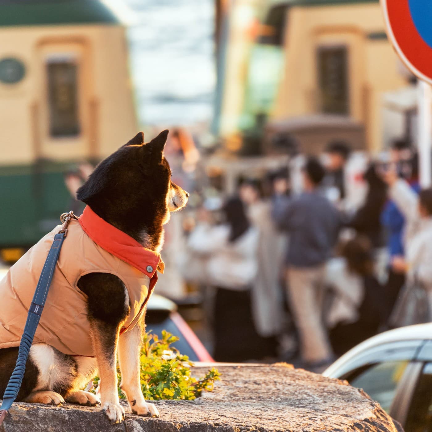 第438回｜東京人週末私藏：鎌倉過夜才懂的海街感！feat. dato - 日本大特搜 Japan Vibes cover