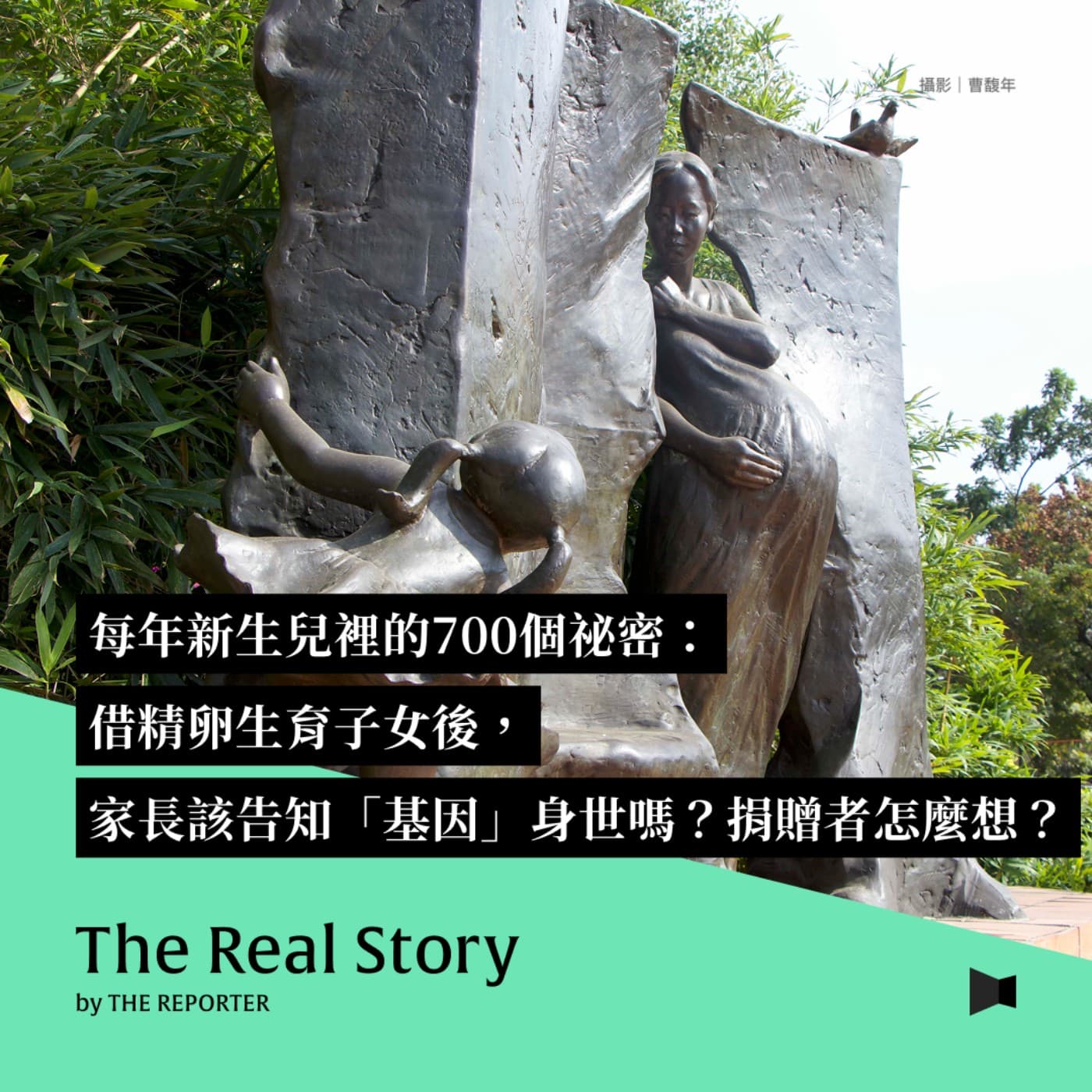 每年新生兒裡的700個秘密：借精卵生育子女後，家長該告知「基因」身世嗎？捐贈者怎麼想？ - 《The Real Story》By 報導者 cover