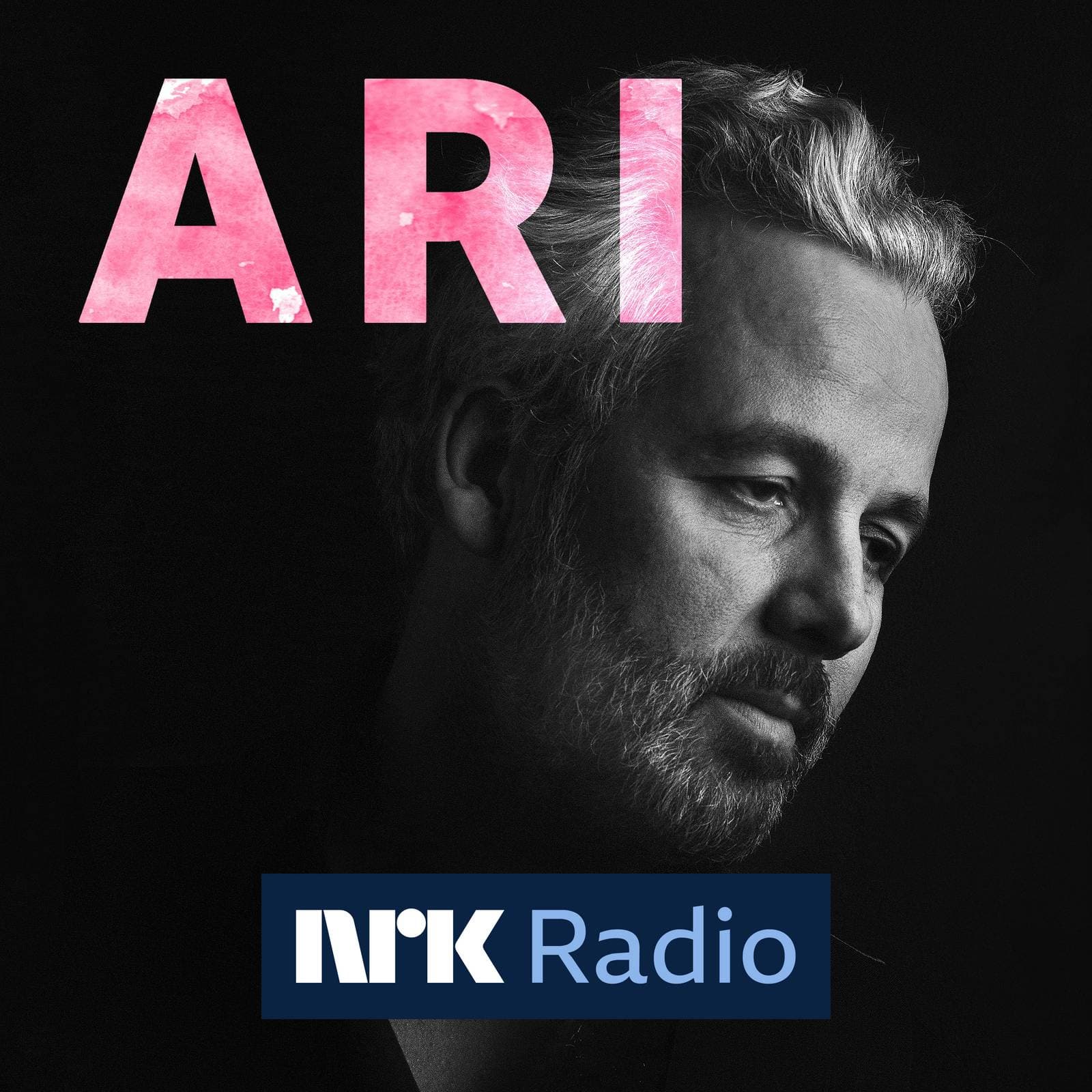 Ari cover