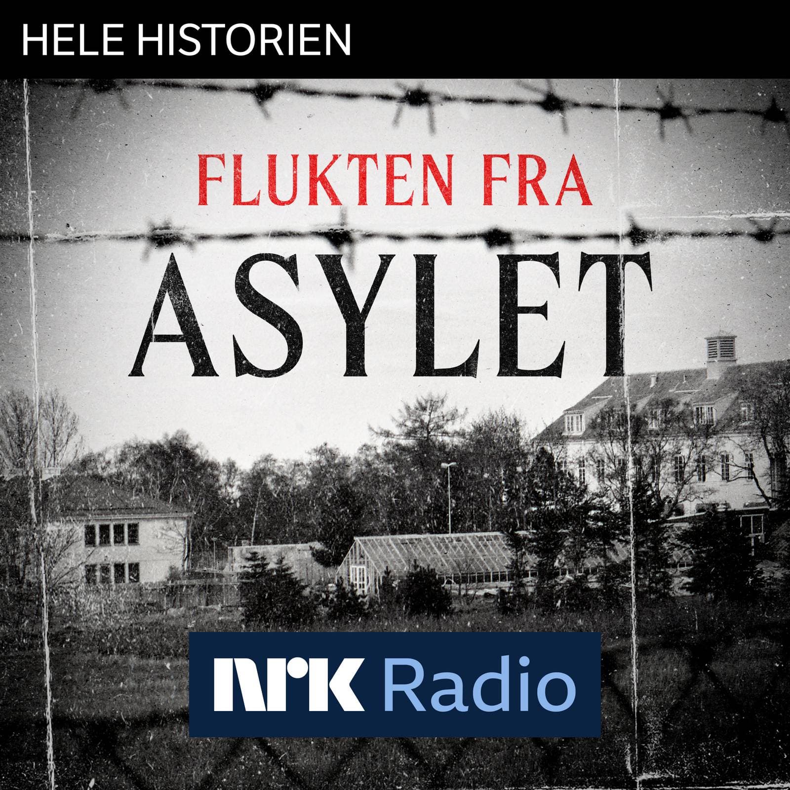 I NRK Radio: Flukten fra asylet - Hele historien cover