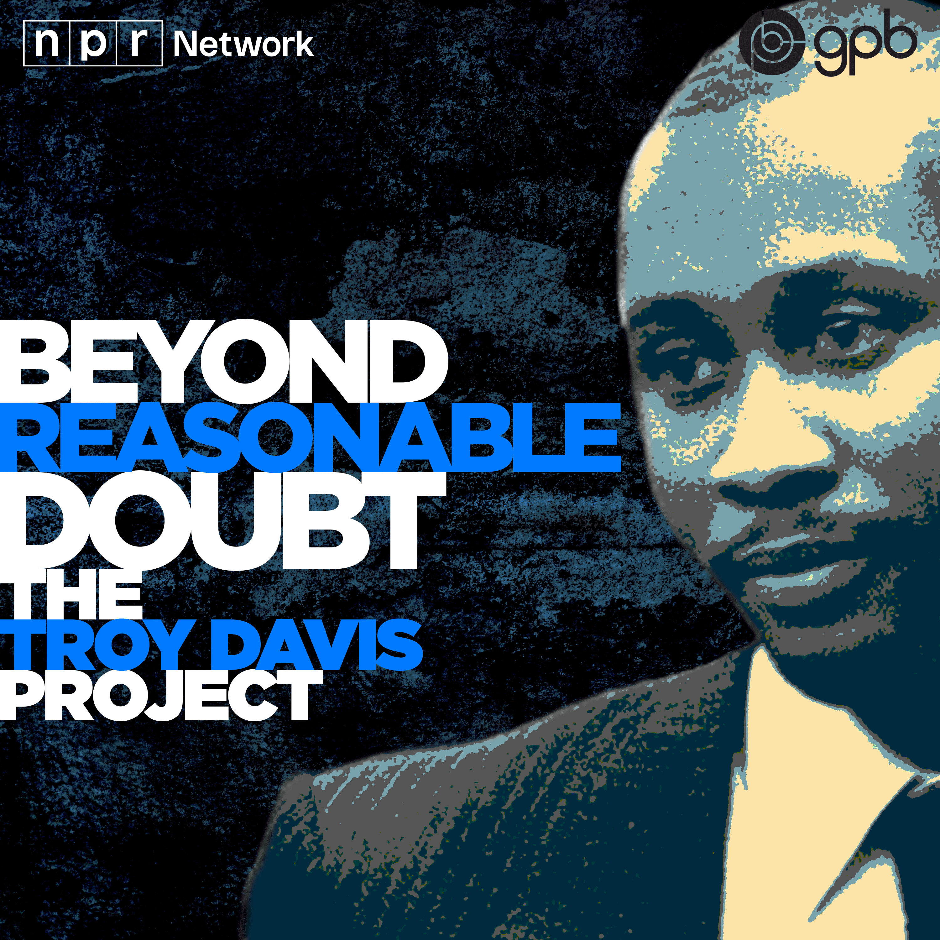 Beyond Reasonable Doubt: The Troy Davis Project cover