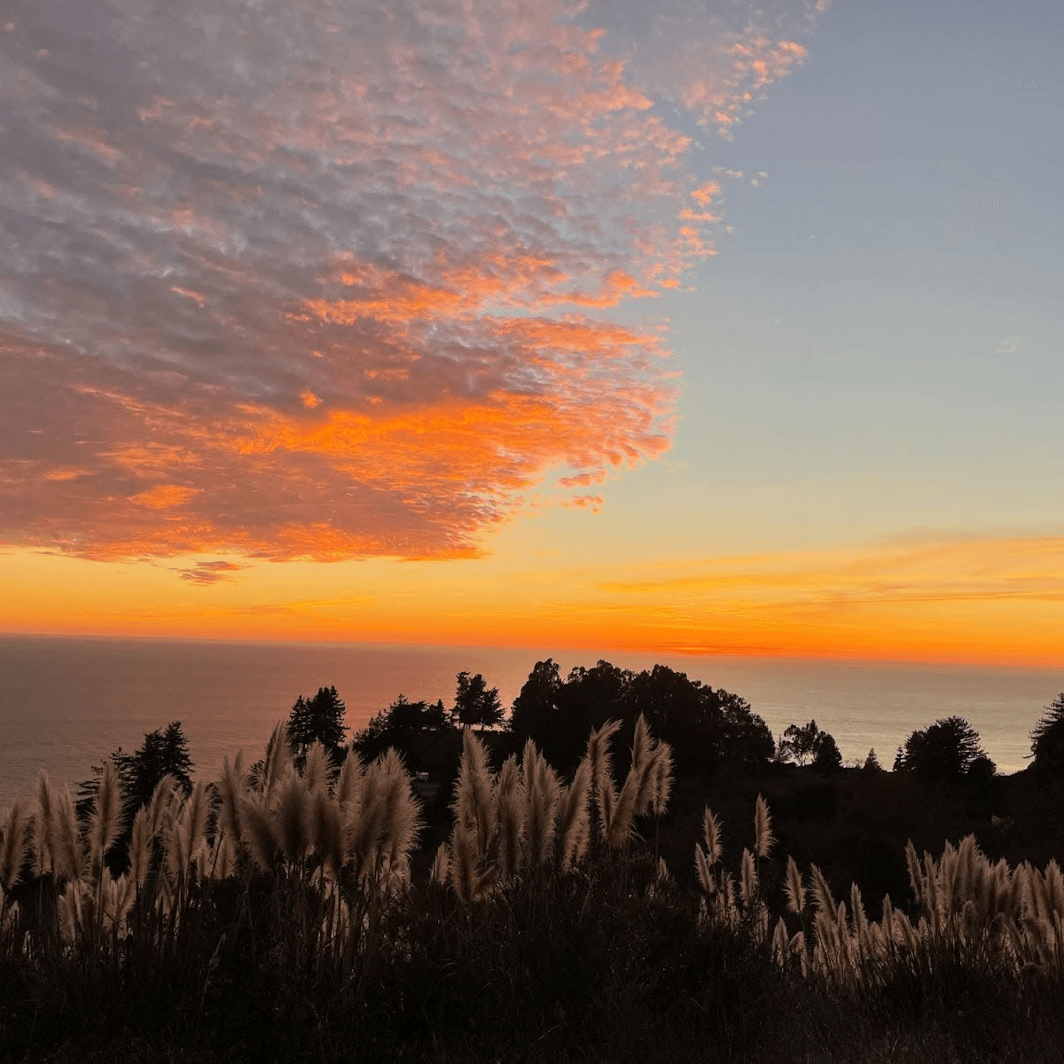 Navigating the Noise: A Conversation with Pico Iyer on Finding Stillness in a Tech-Saturated World — Hearsay Culture Radio cover