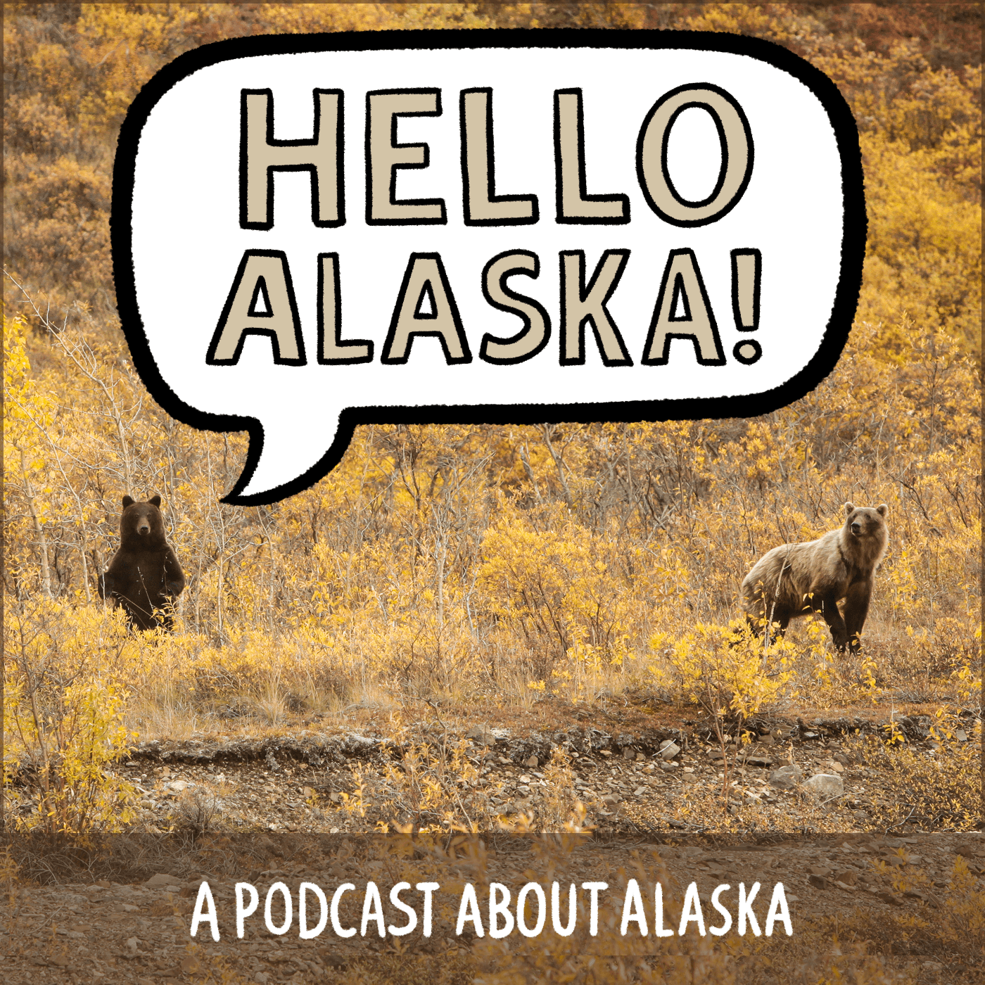 Hello Alaska cover