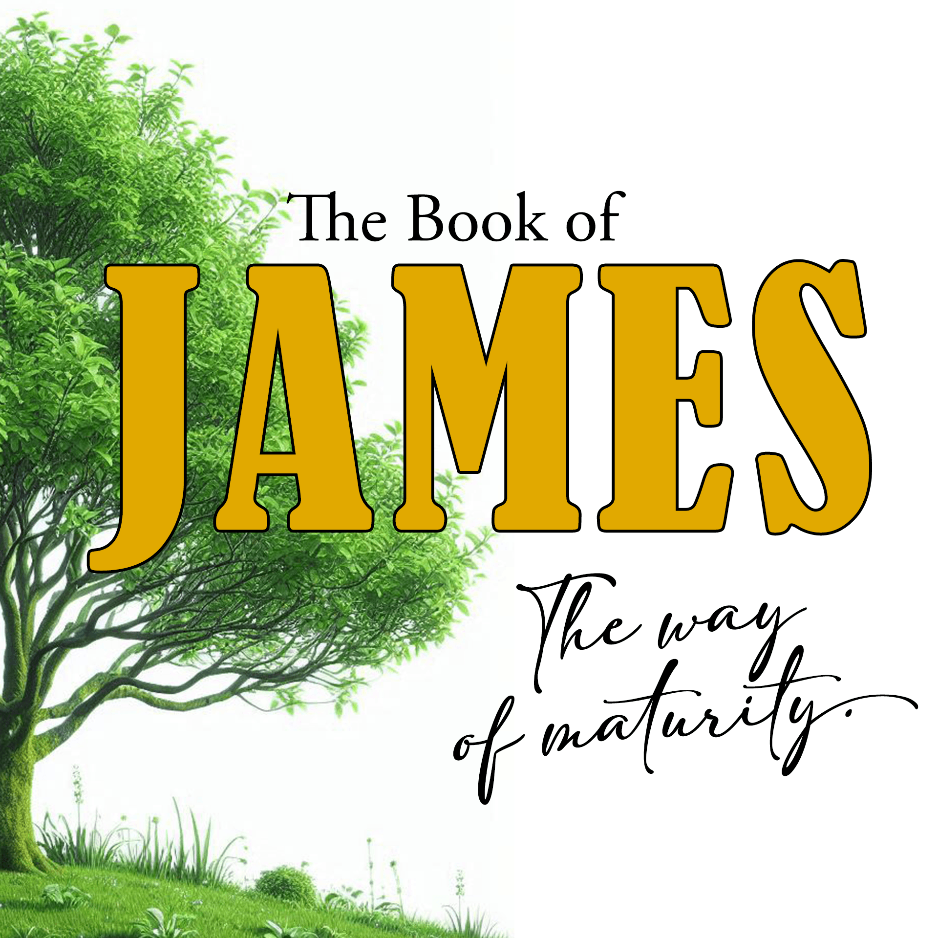 Introduction - Get Wise - The Book of James - Hope Revolution Messages cover
