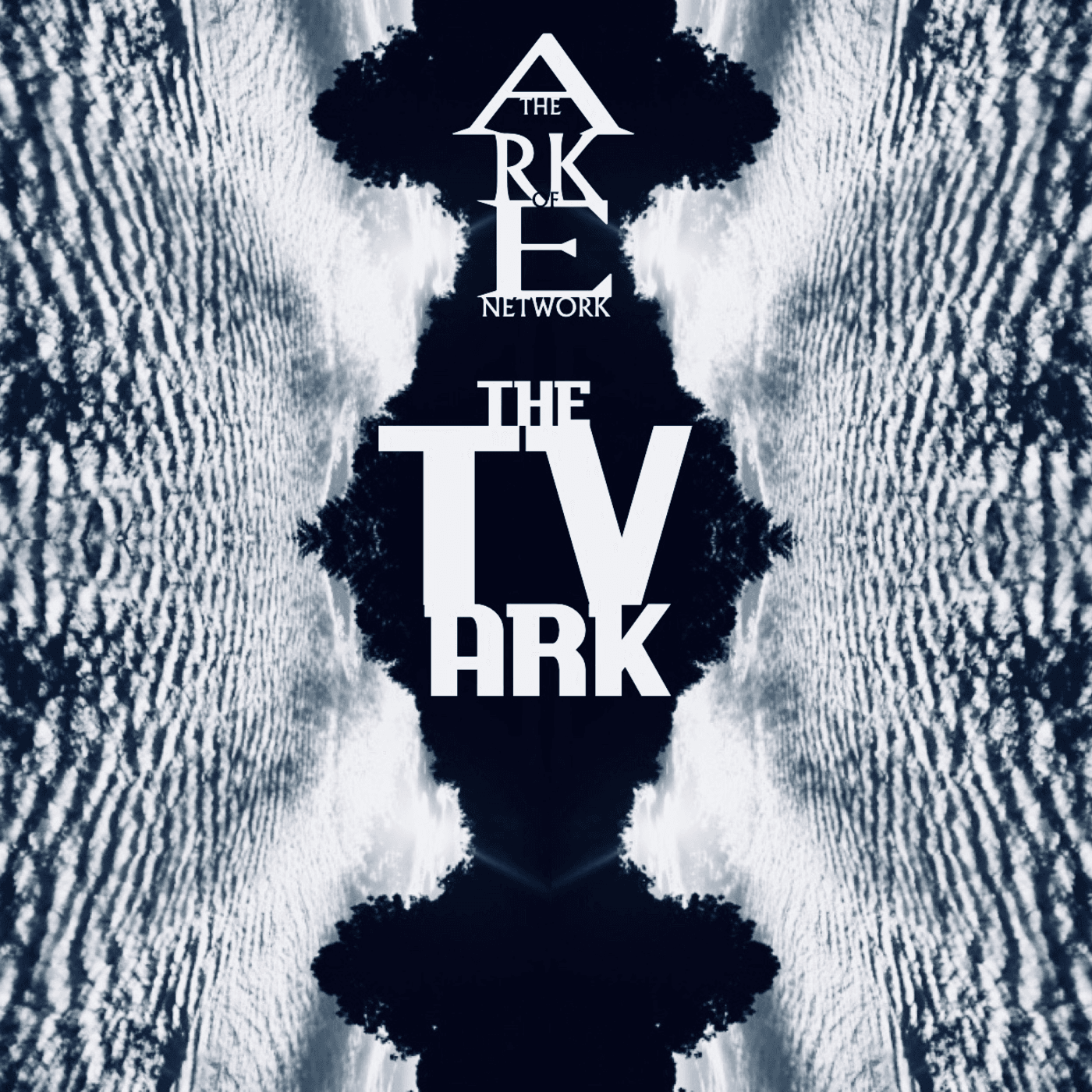 The TV Ark cover