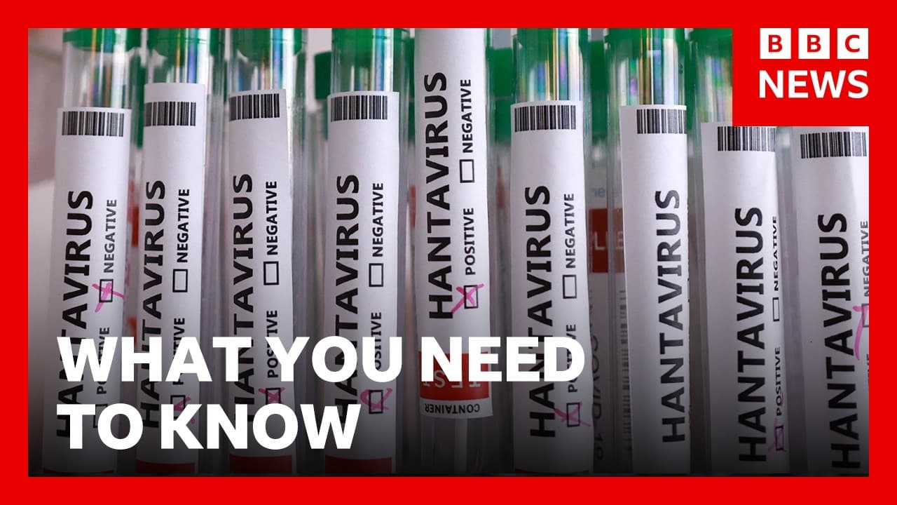 What you need to know about Hantavirus | BBC News — BBC News cover
