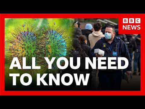 How does meningitis spread, and what are the symptoms? | BBC News - BBC News cover