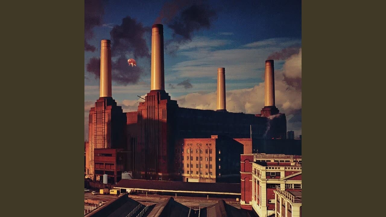 Dogs - Pink Floyd - Kulekcicem - Zikuvikuzi cover