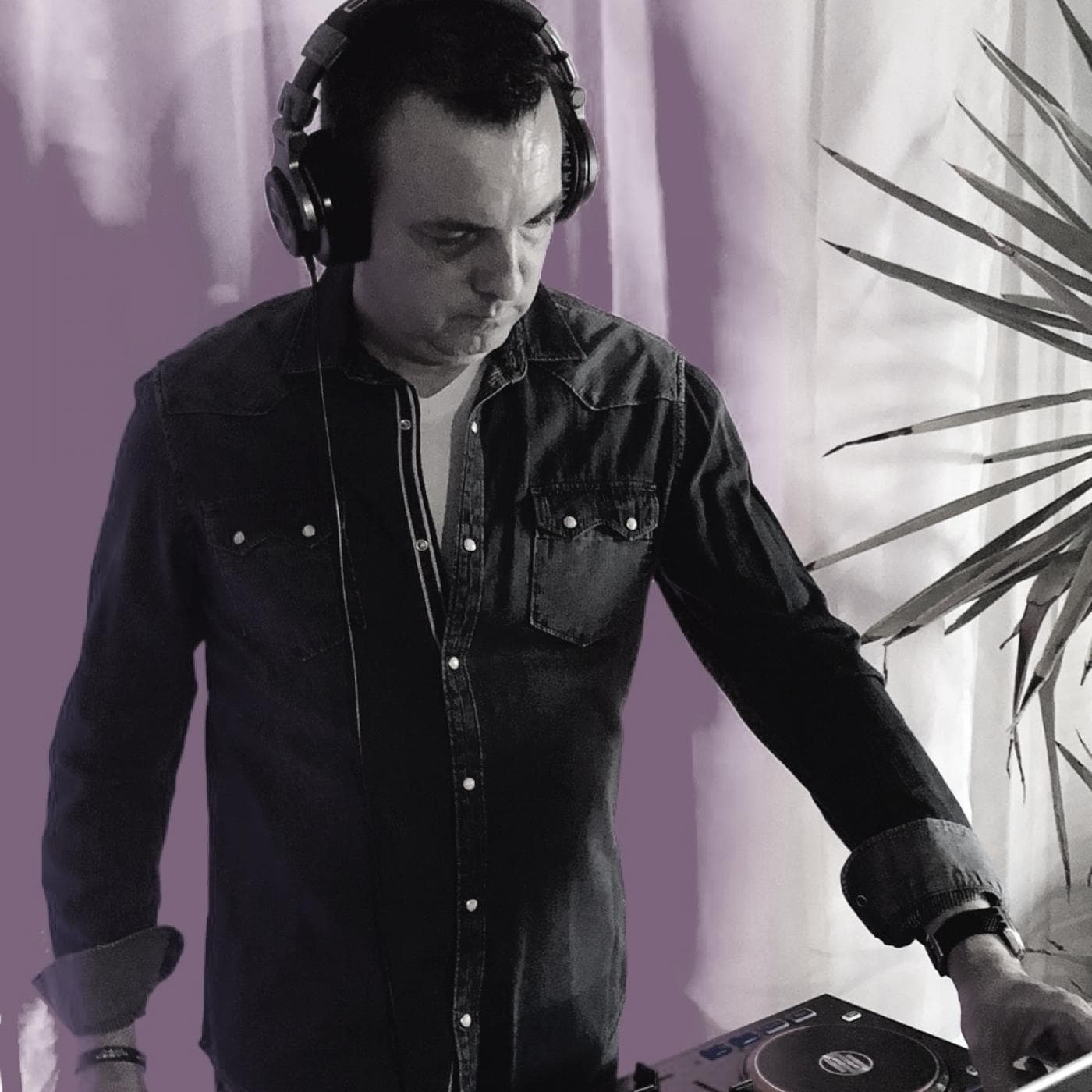 BMA in the House cover