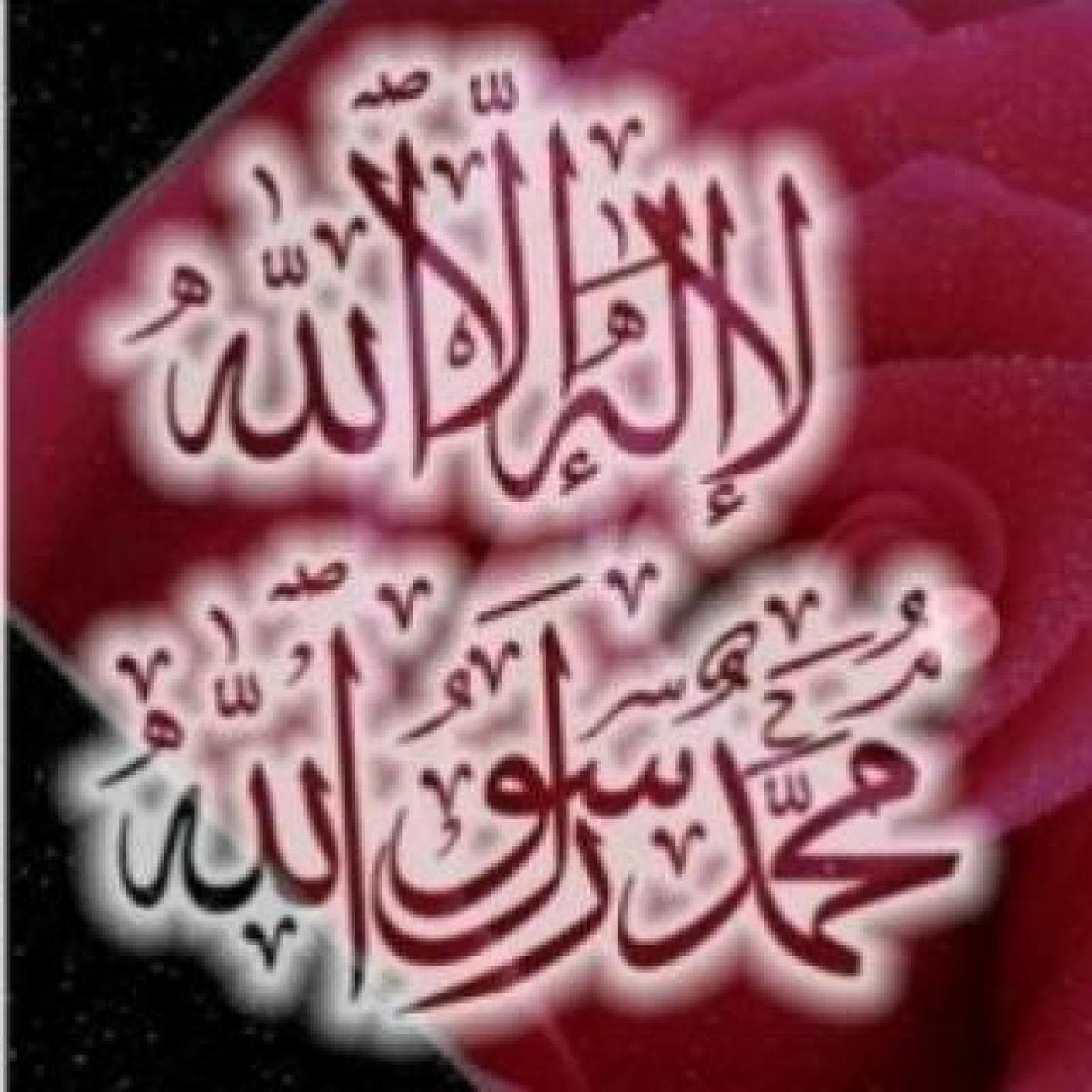 Hizb Al_Jin English — Islam cover