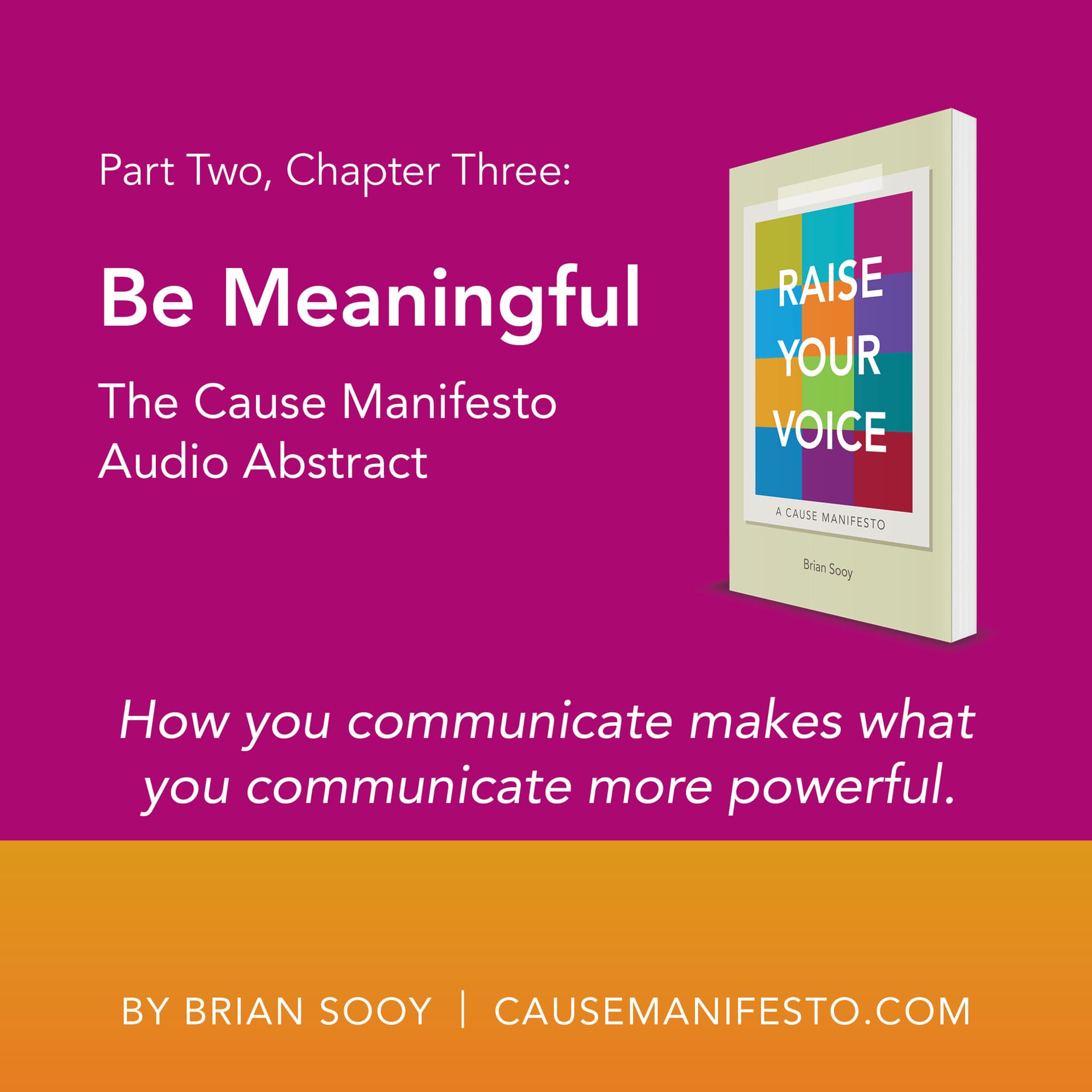 The Cause Manifesto: Be Meaningful - Everybody Brands with Brian Sooy cover