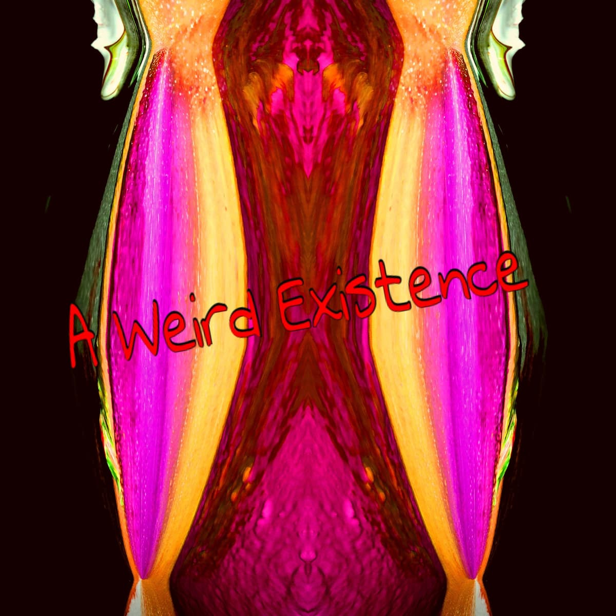 A Weird Existence - Click here for Electronic Music cover