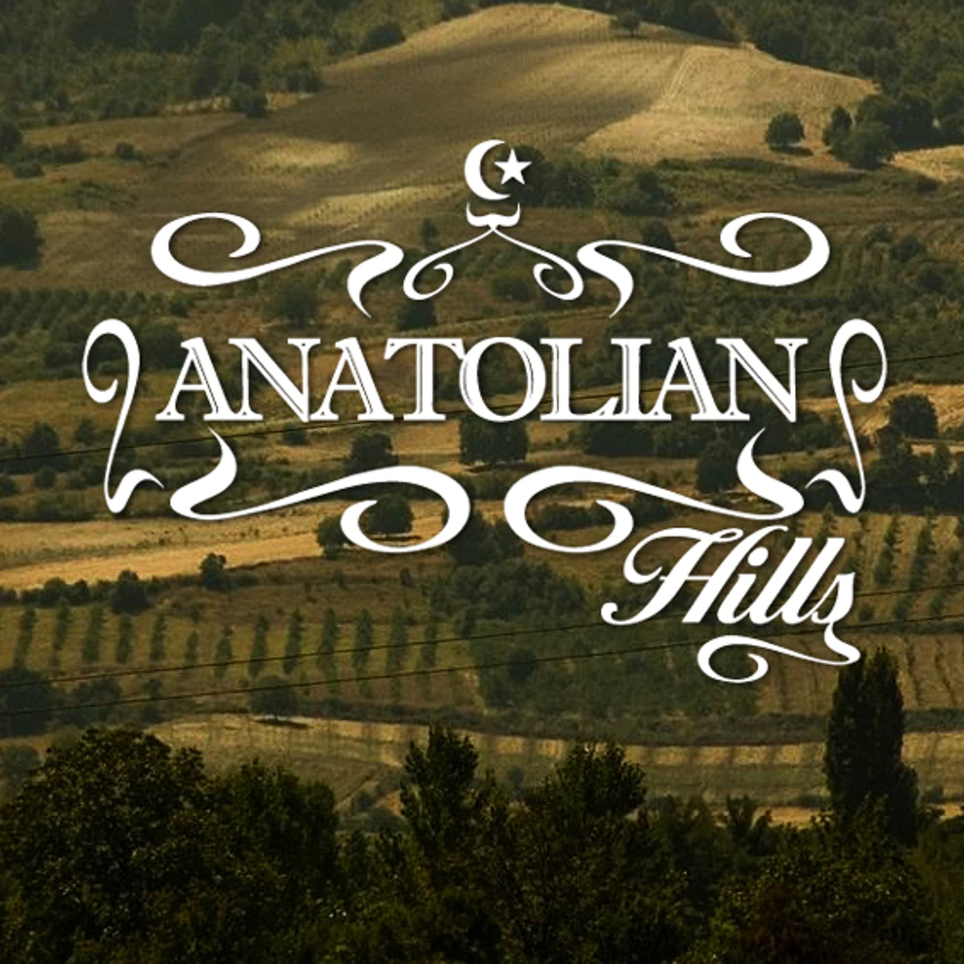 Anatolian Hills - Arne Mulder cover