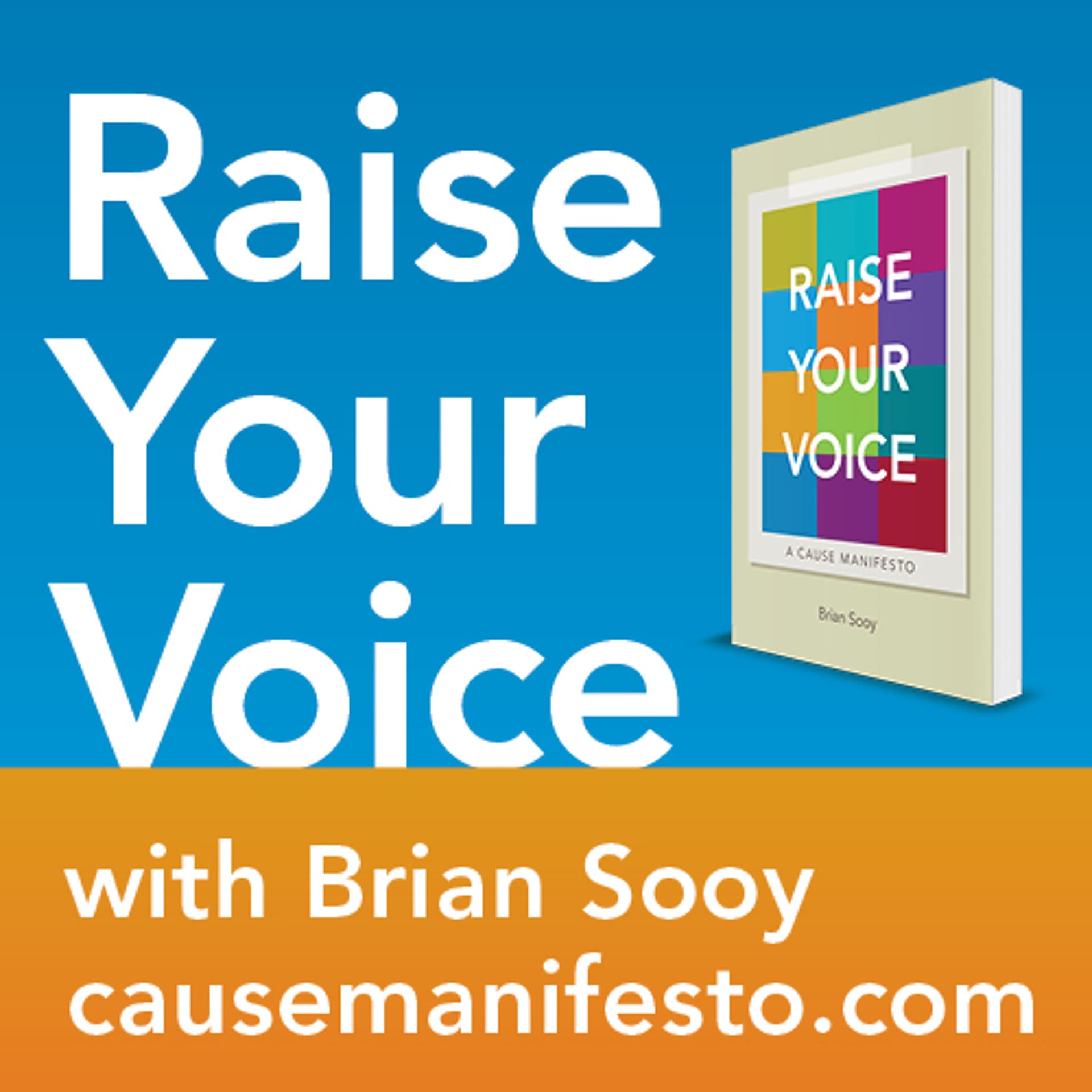 Raise Your Voice: Todd Henry on Finding Your Authentic Voice - Everybody Brands with Brian Sooy cover