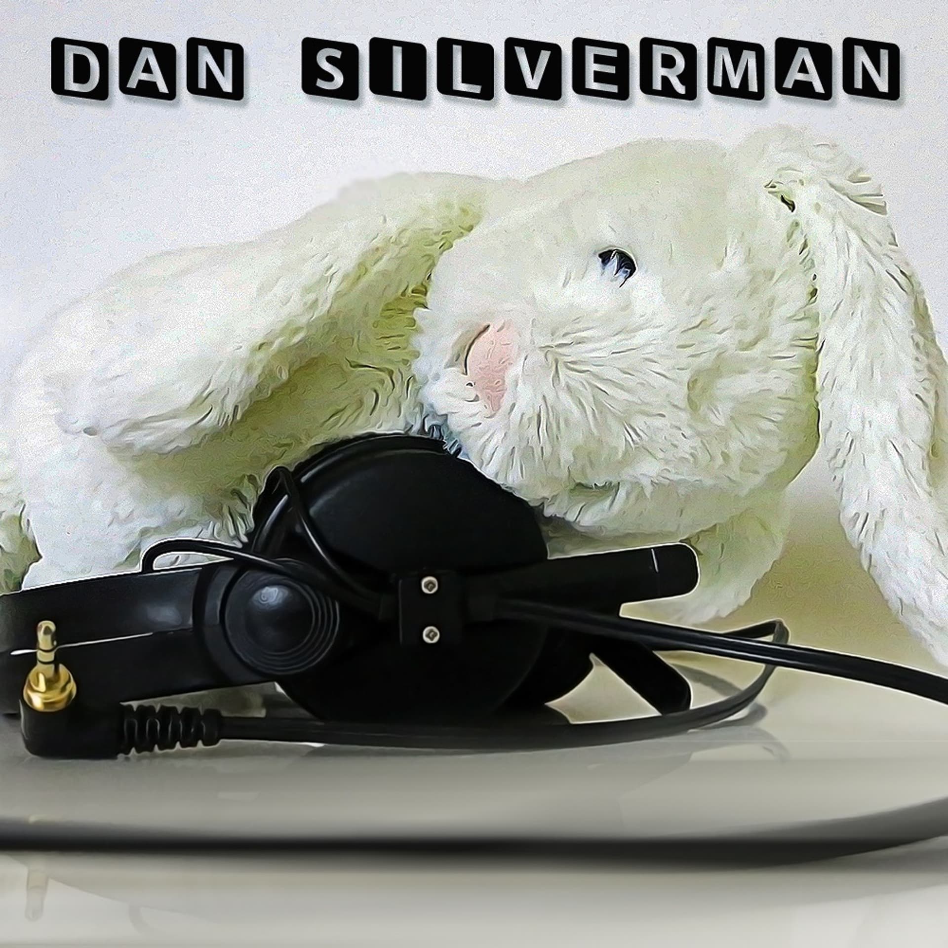 De Has hat Us Tanz Part 2 - Dan Silverman cover