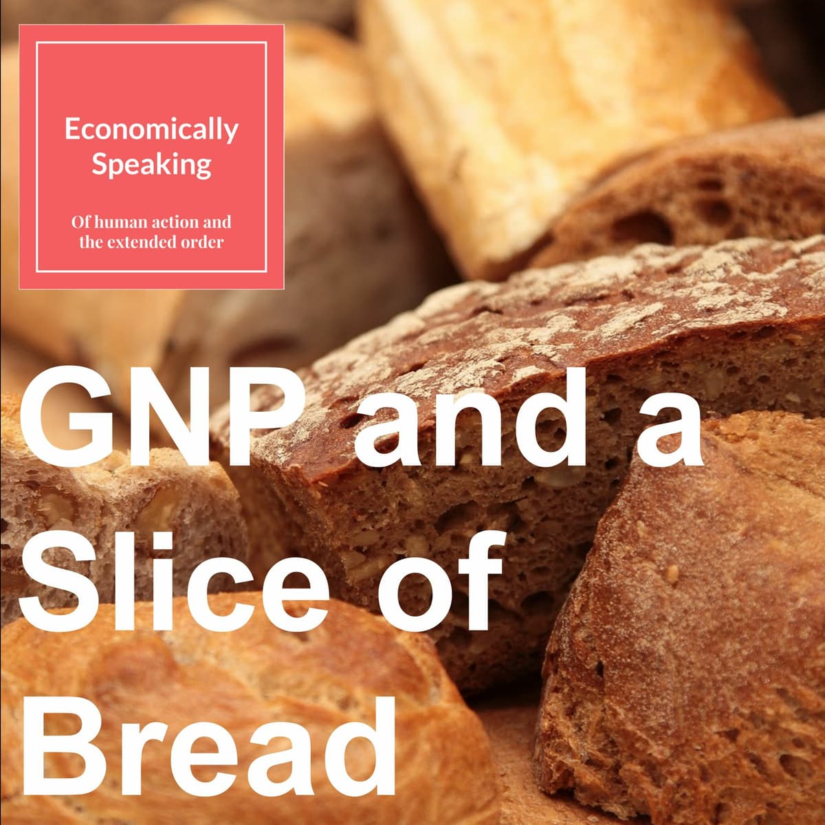 13 GNP And A Slice Of Bread - Economically Speaking with Atanu Dey cover