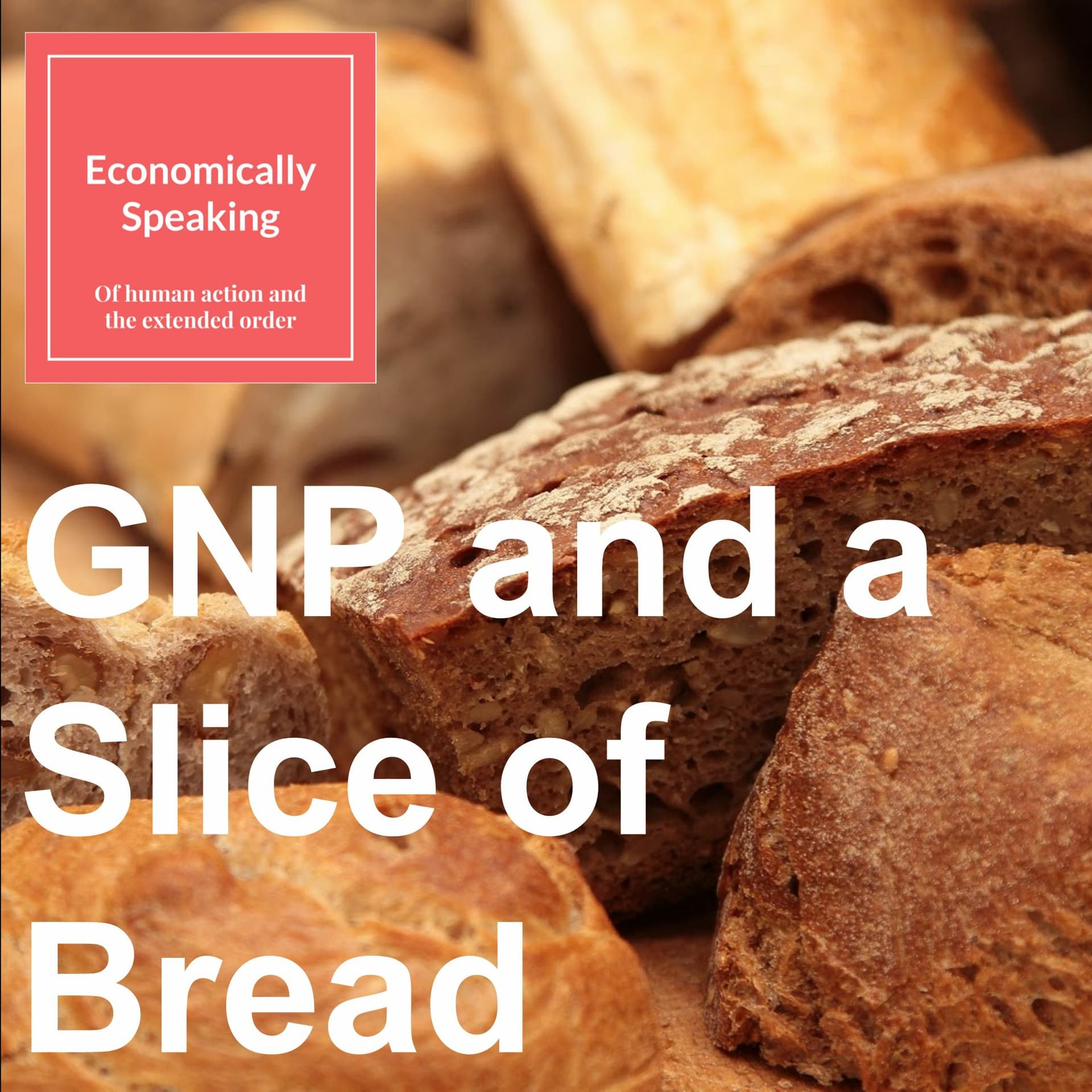13 GNP And A Slice Of Bread - Economically Speaking with Atanu Dey cover
