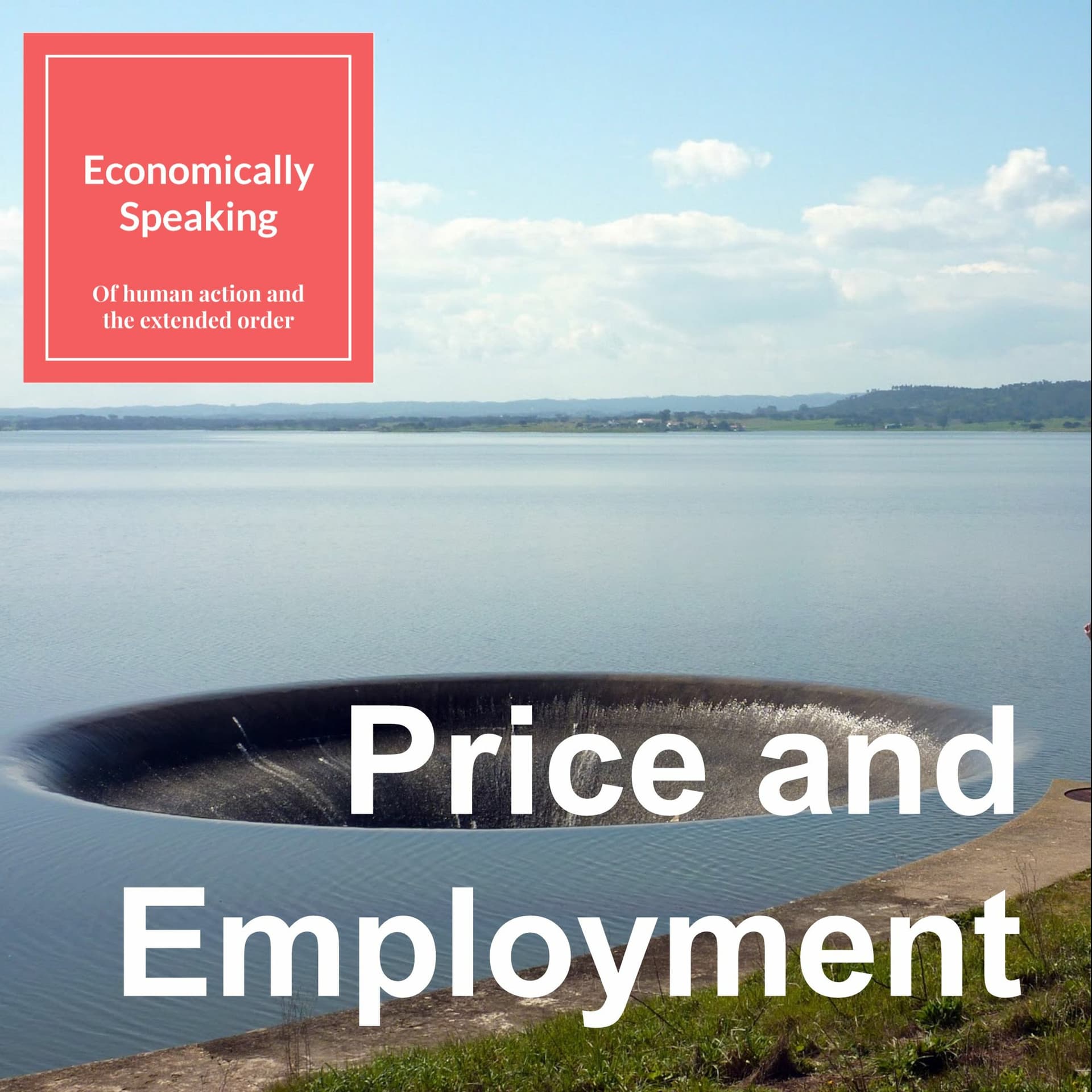 16 Price And Employment - Economically Speaking with Atanu Dey cover
