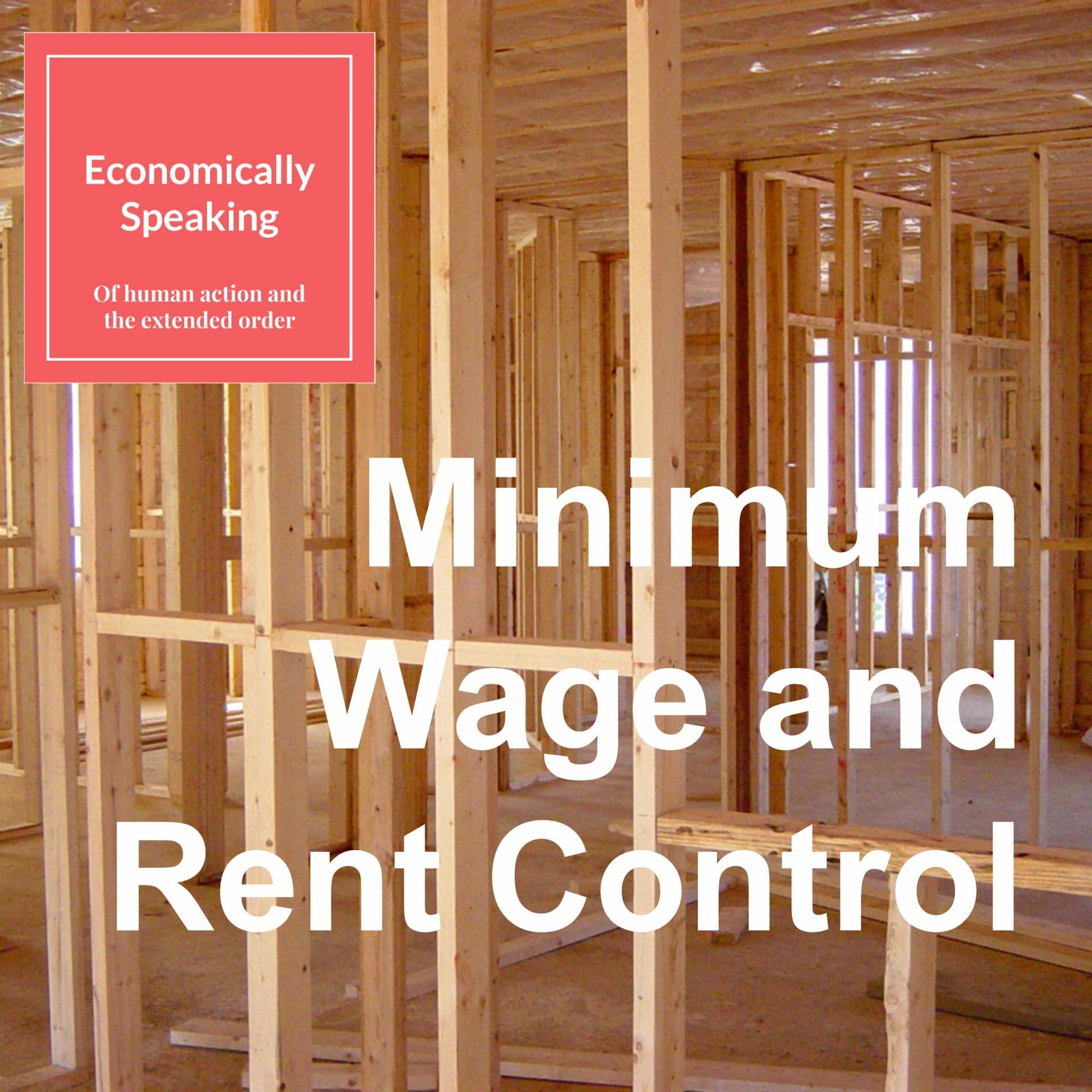 17 Minimum Wage And Rent Control - Economically Speaking with Atanu Dey cover
