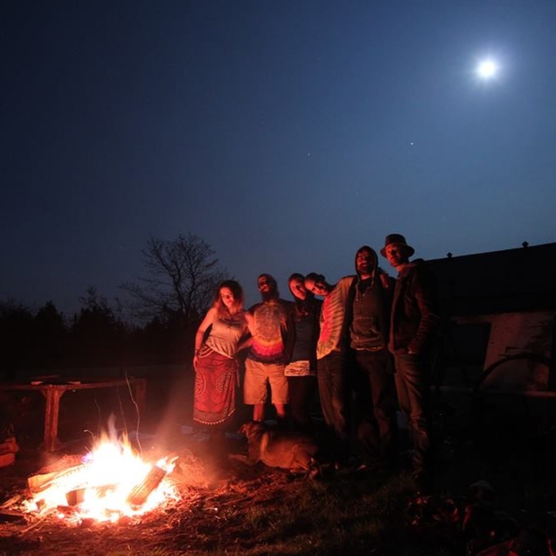 Family of Friends Farm - The Barefoot Project cover