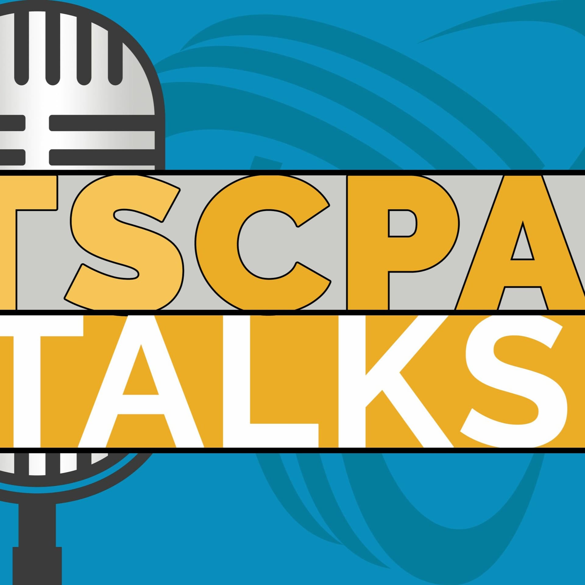Member Spotlight - Anita Hamilton - TSCPA Talks cover