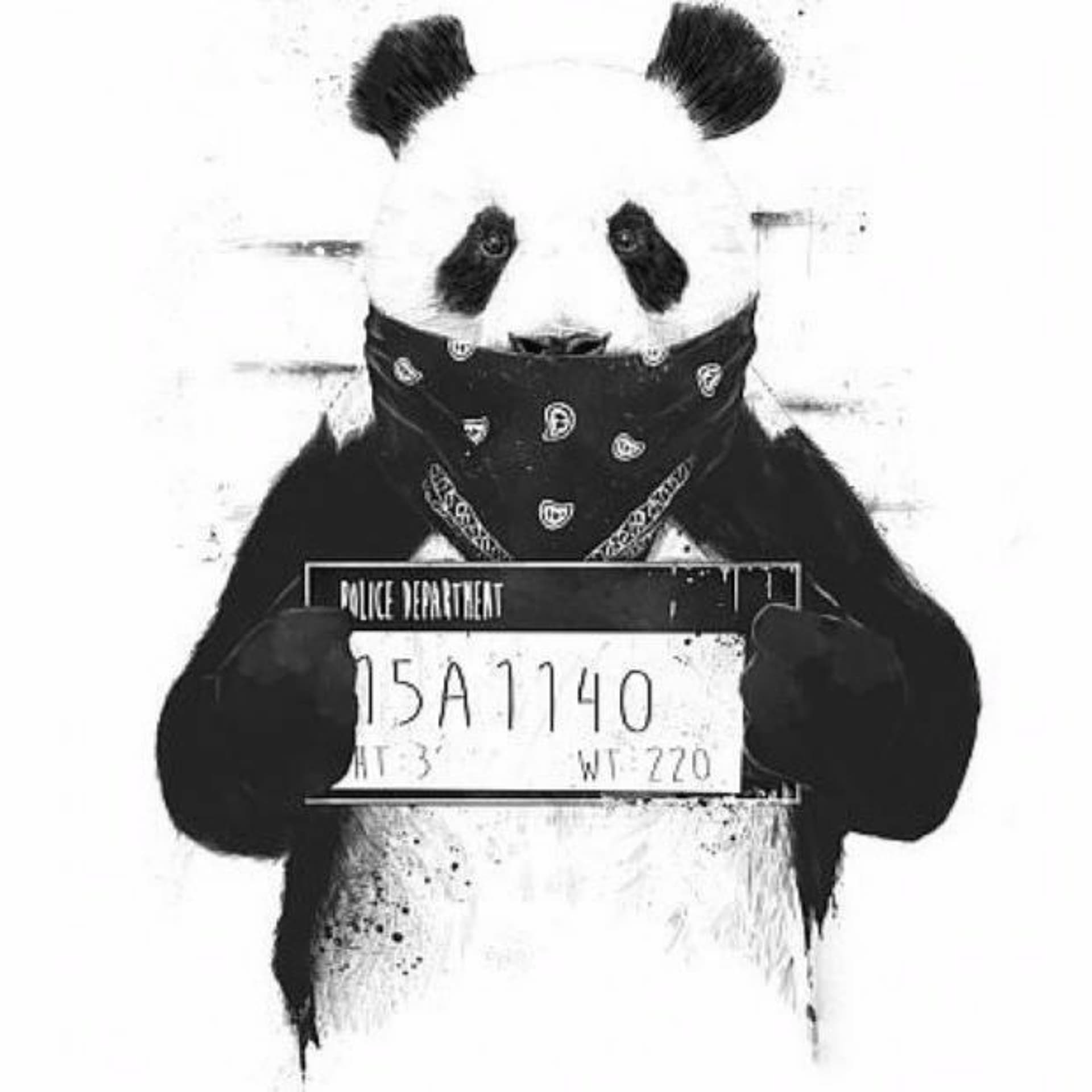 Desiigner Panda -D.S.S X FLAMEZ HOODxB.X. NIDDY - D.S.S cover