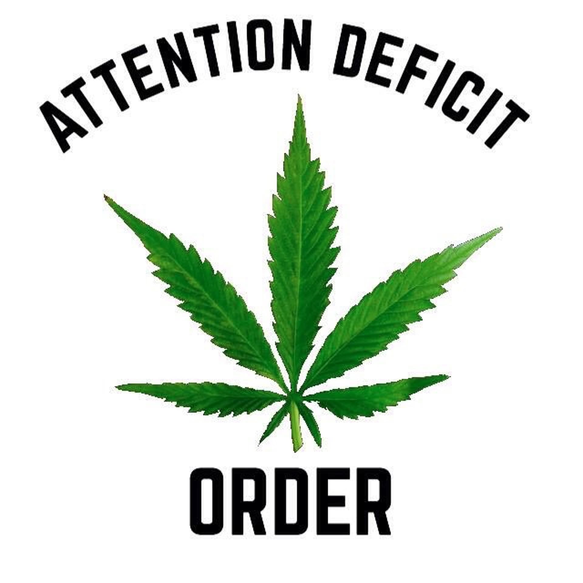 S12E3 Account Zero Goliath — Attention Deficit Order cover