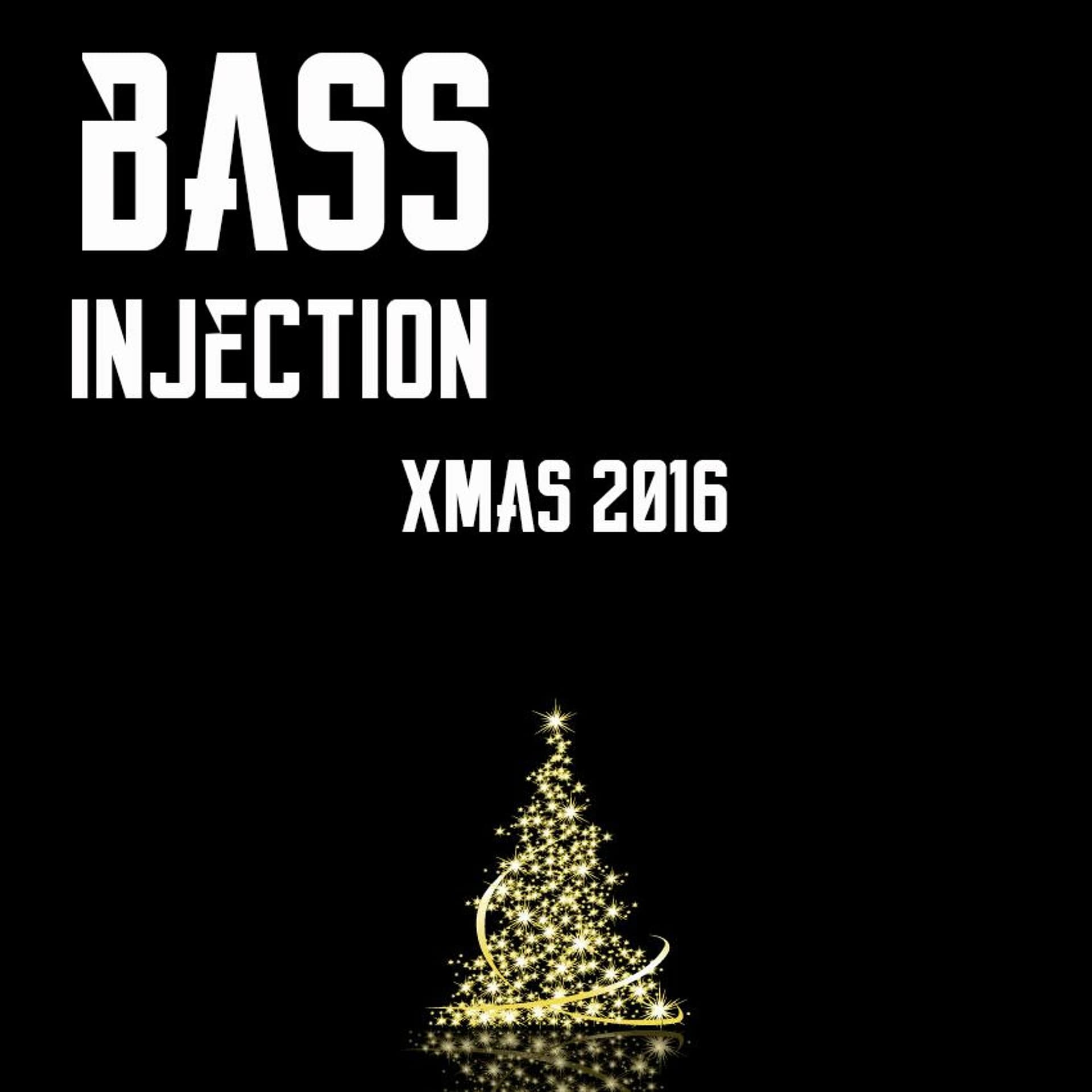 December 2016 - Bass Injection cover