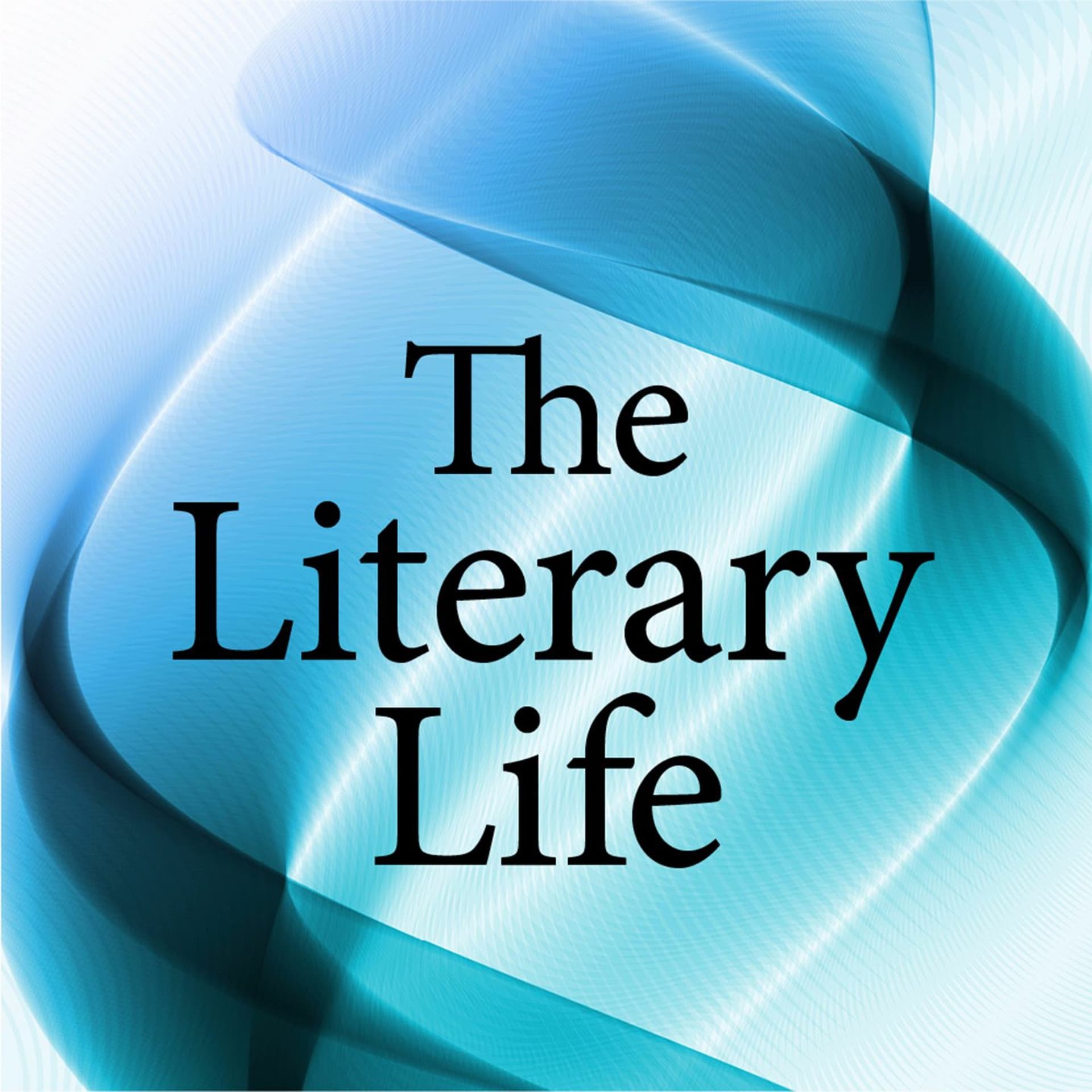 Episode 38 - Steve Davenport - The Literary Life cover