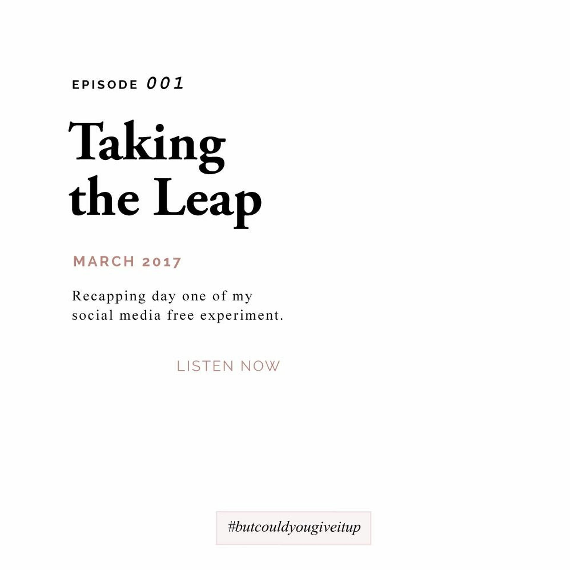 Taking the Leap - But Could You Give It Up? cover