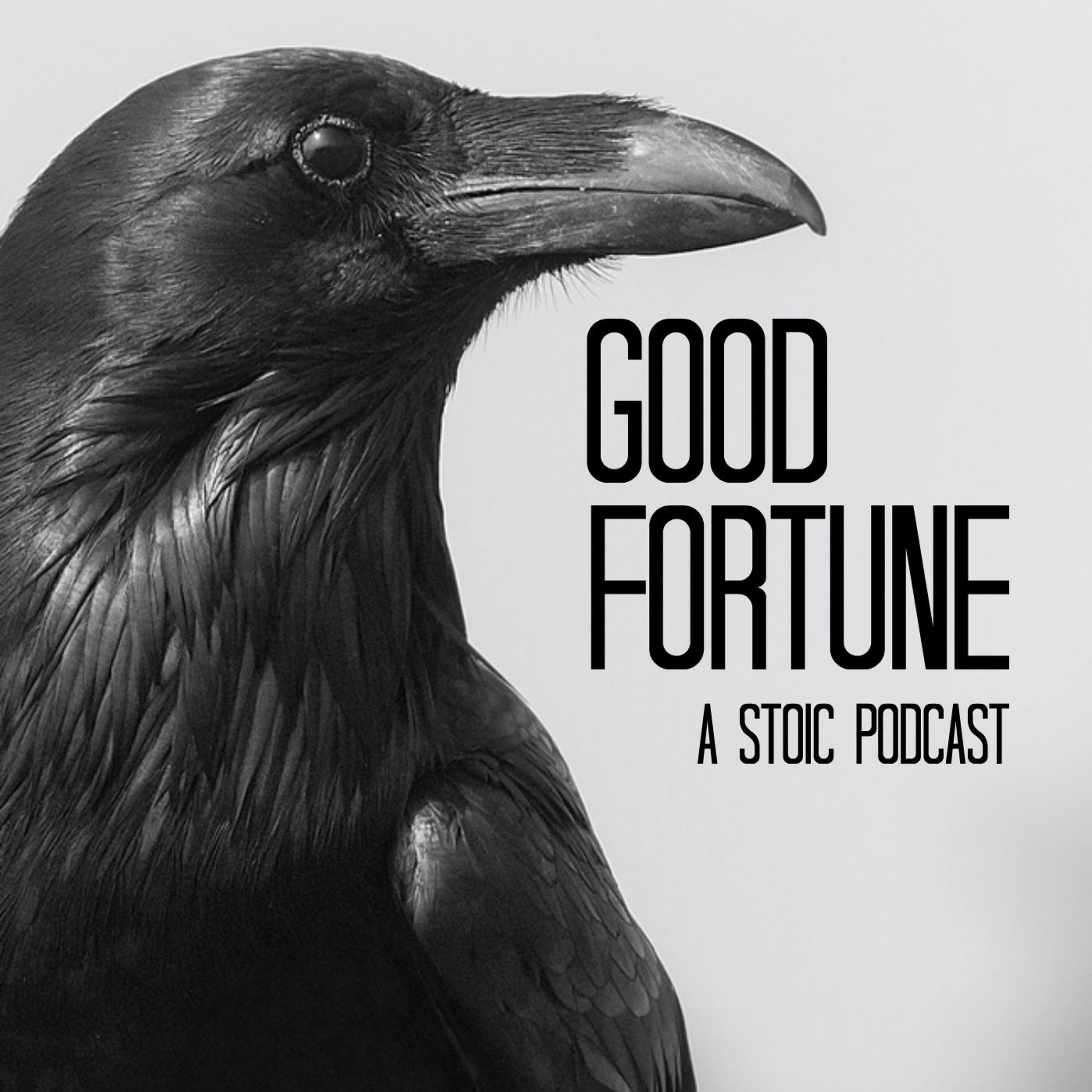 Episode 11 - Uprooting Fear - Good Fortune cover