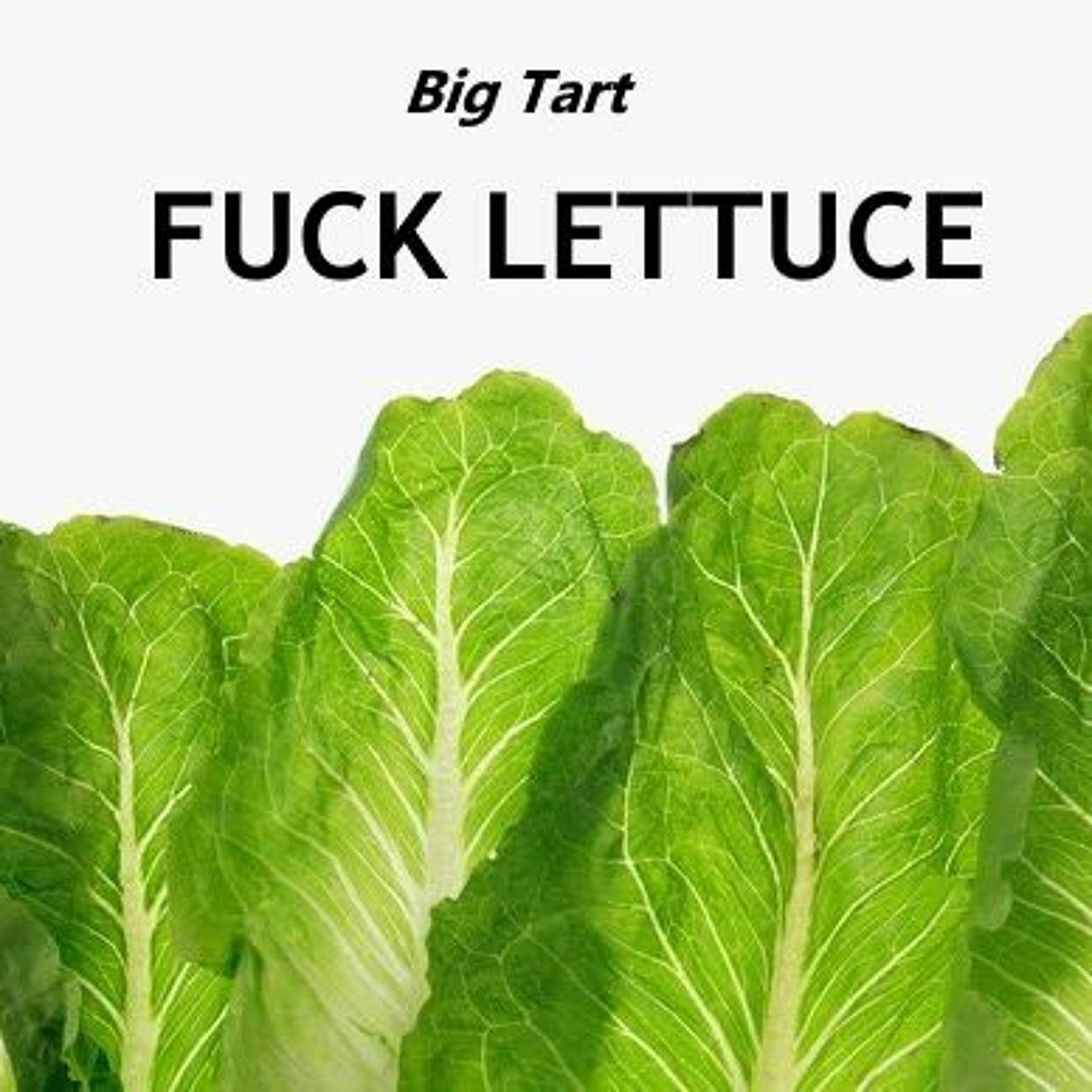 Big Tart - Hard As Fuck - Big Tart cover