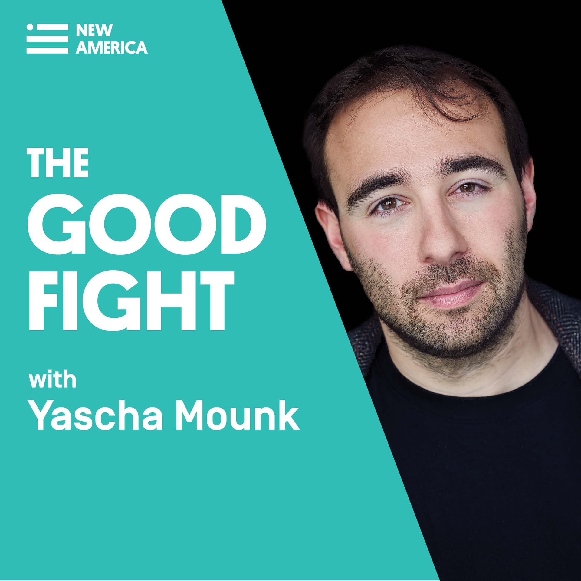 Francis Fukuyama - New America cover