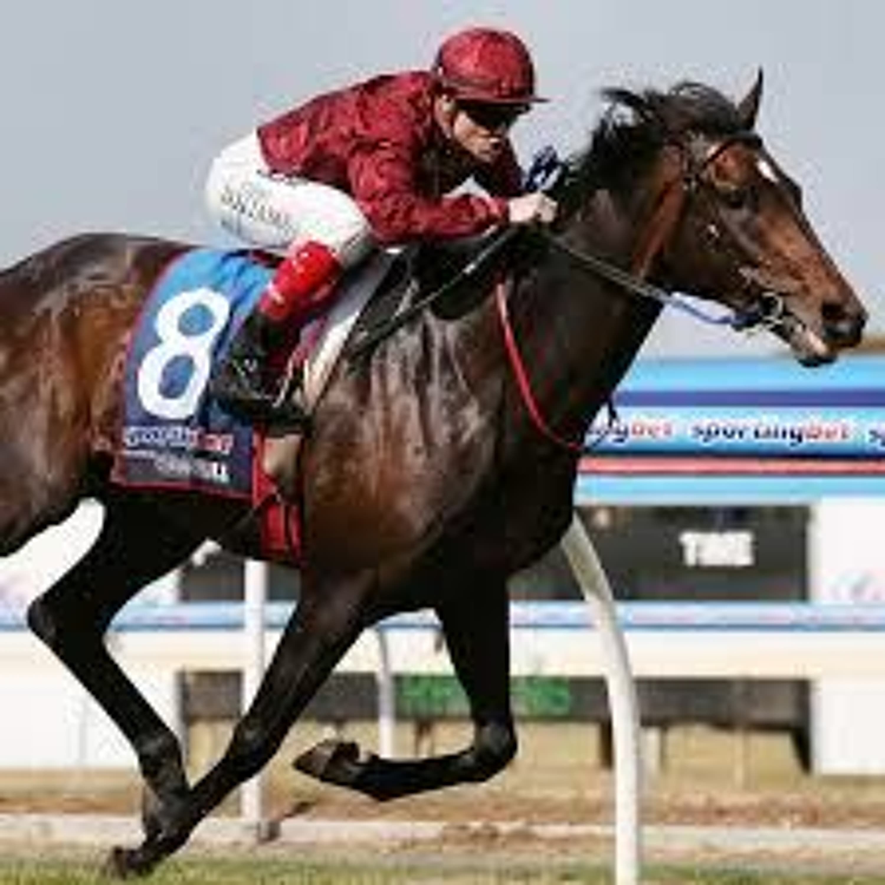 7/15 Monmouth Park/Delaware Derby Picks, Question Master and more - Post Time cover