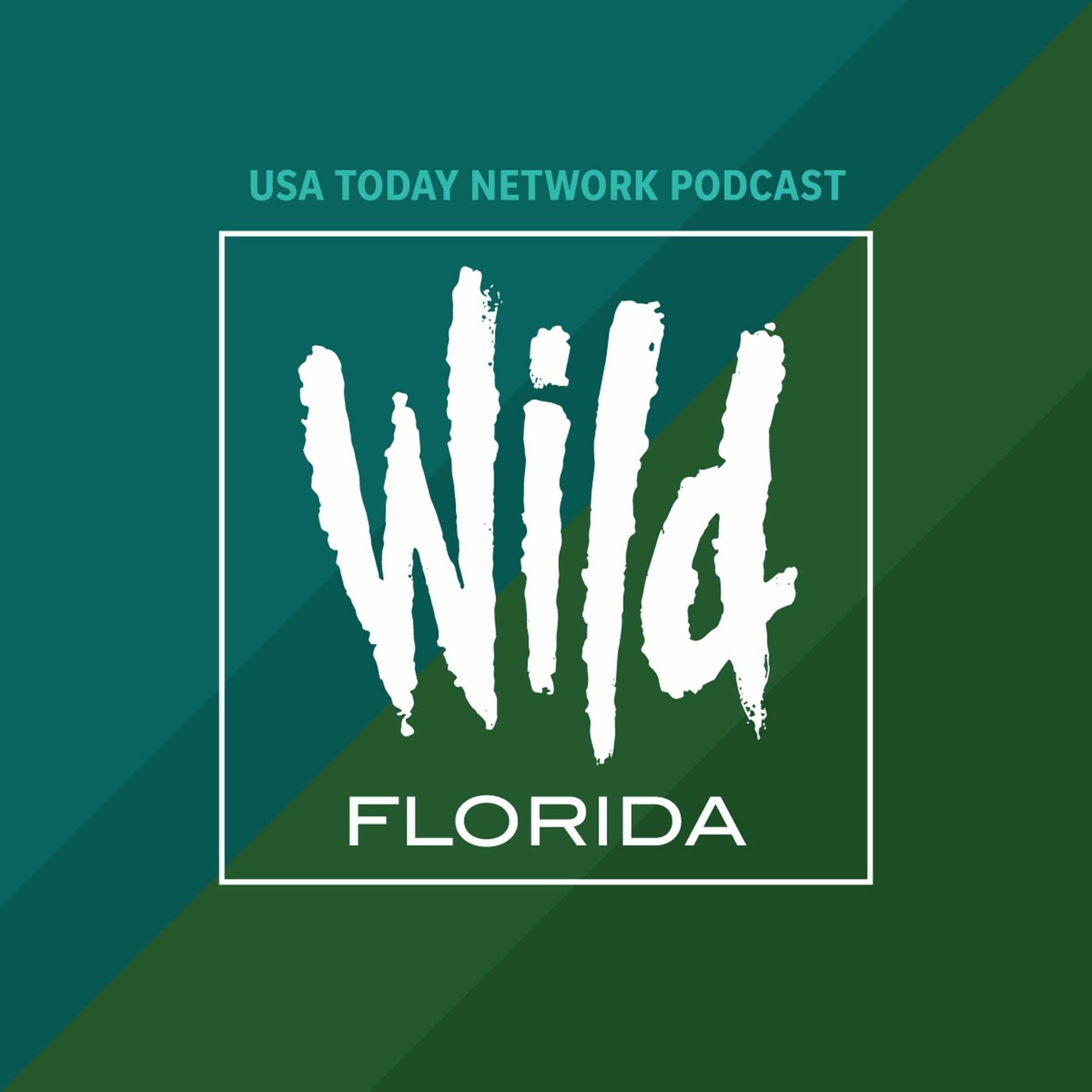 Are you ready for Wild Florida? - Wild Florida cover