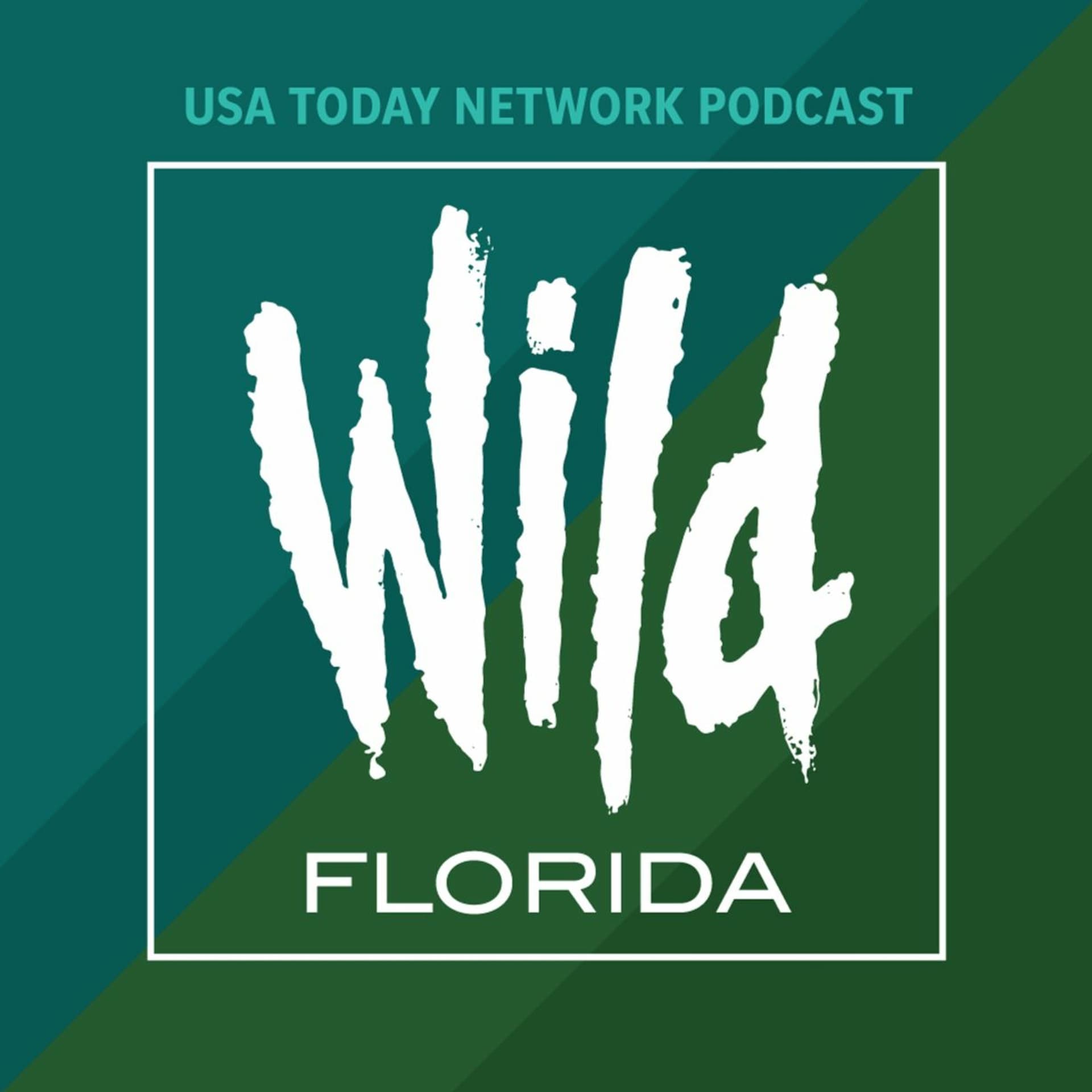 Armadillo scream - Wild Florida cover