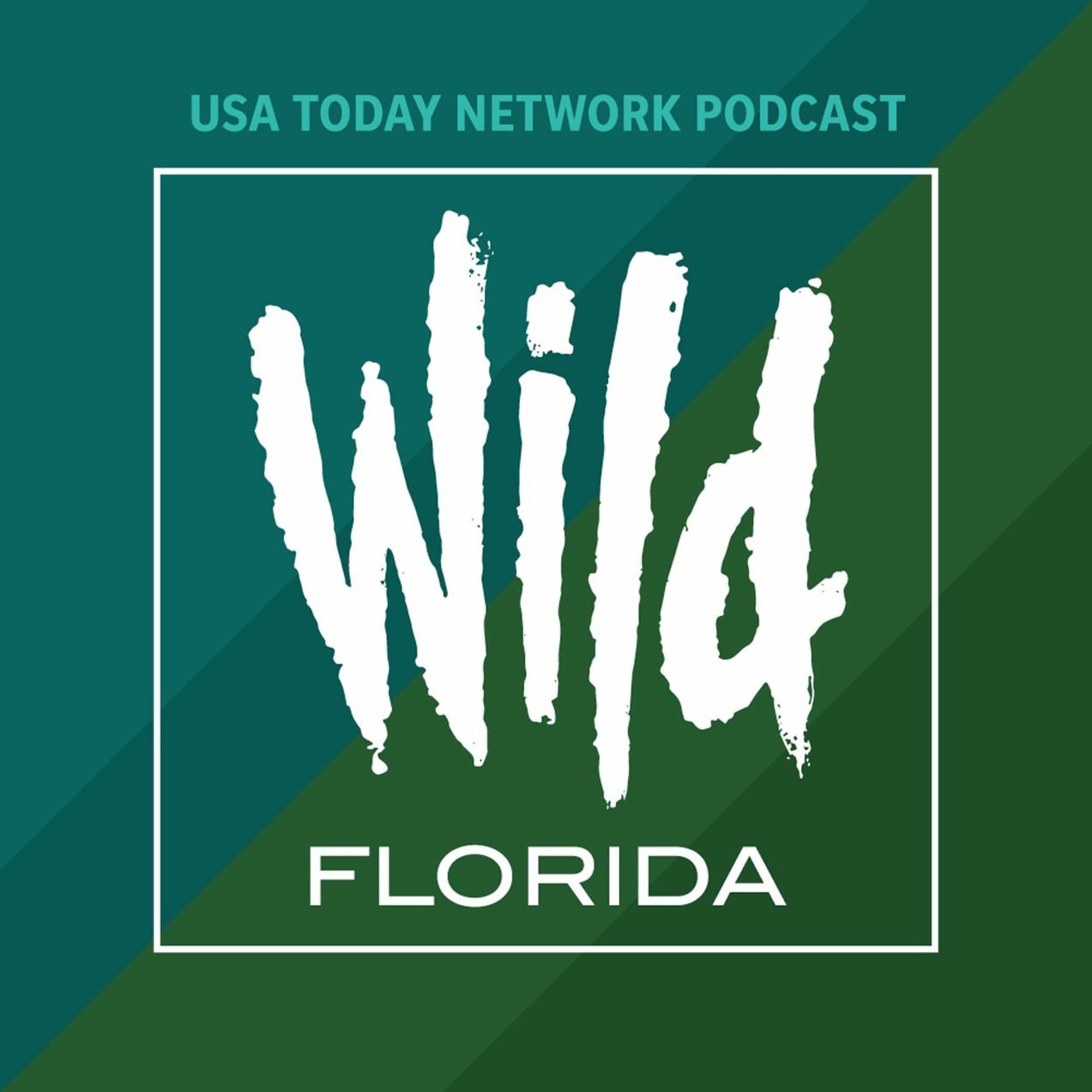 Invasion of the crabs - Wild Florida cover