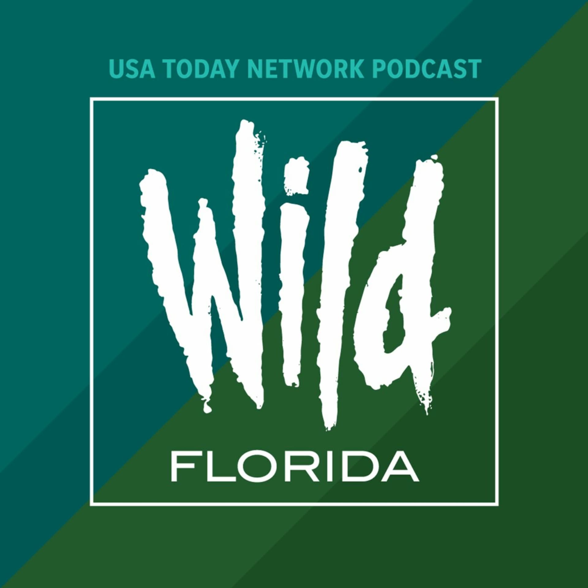 Proud as a what? - Wild Florida cover