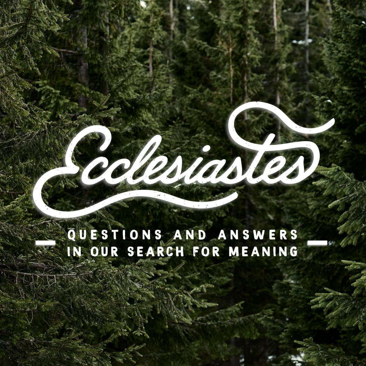 Holy Cynicism | Scott Sauls | February 11, 2018 - Christ Presbyterian Church | Old Hickory Blvd cover