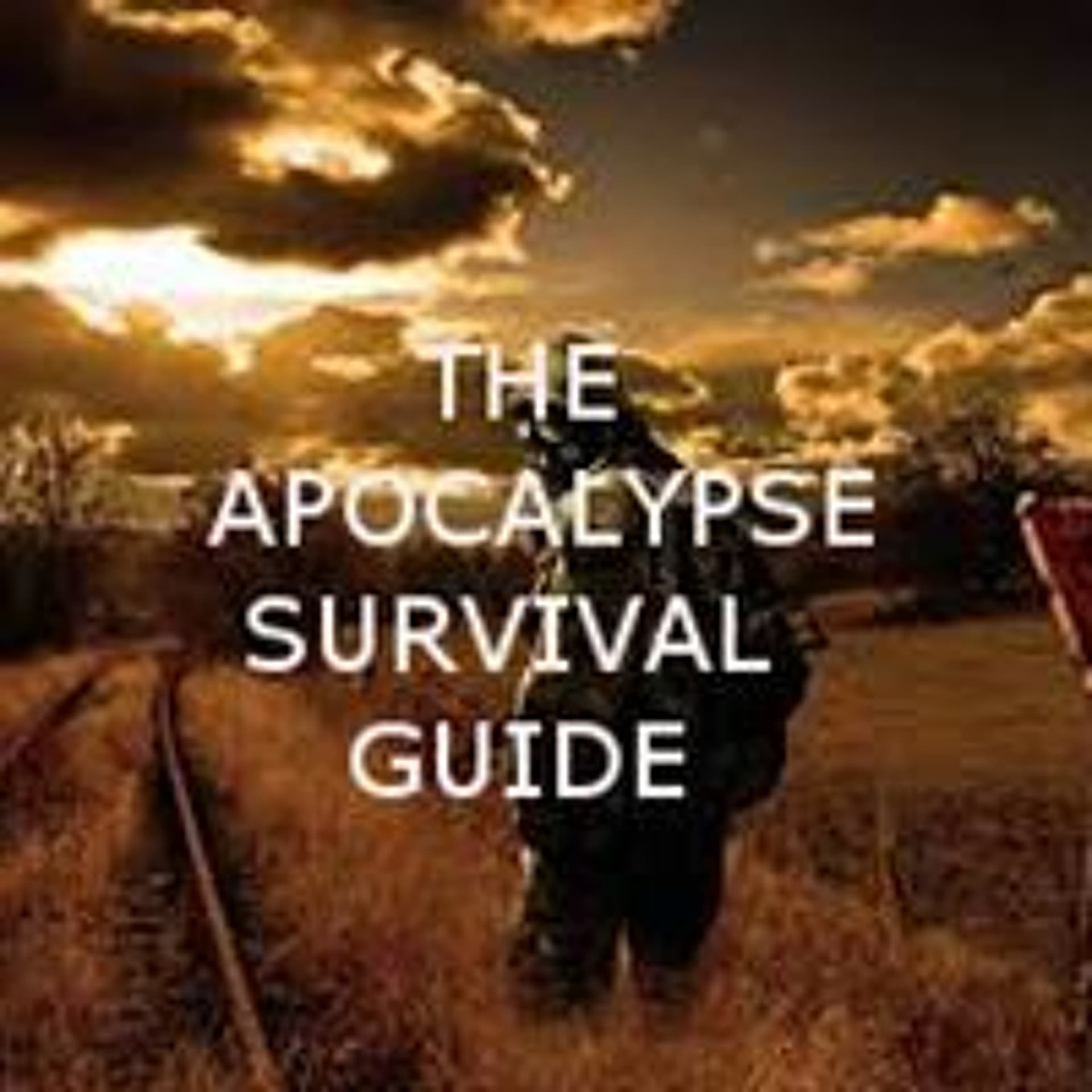 Episode 24 X-Tra Dimensional - The Apocalypse Survival Guide cover