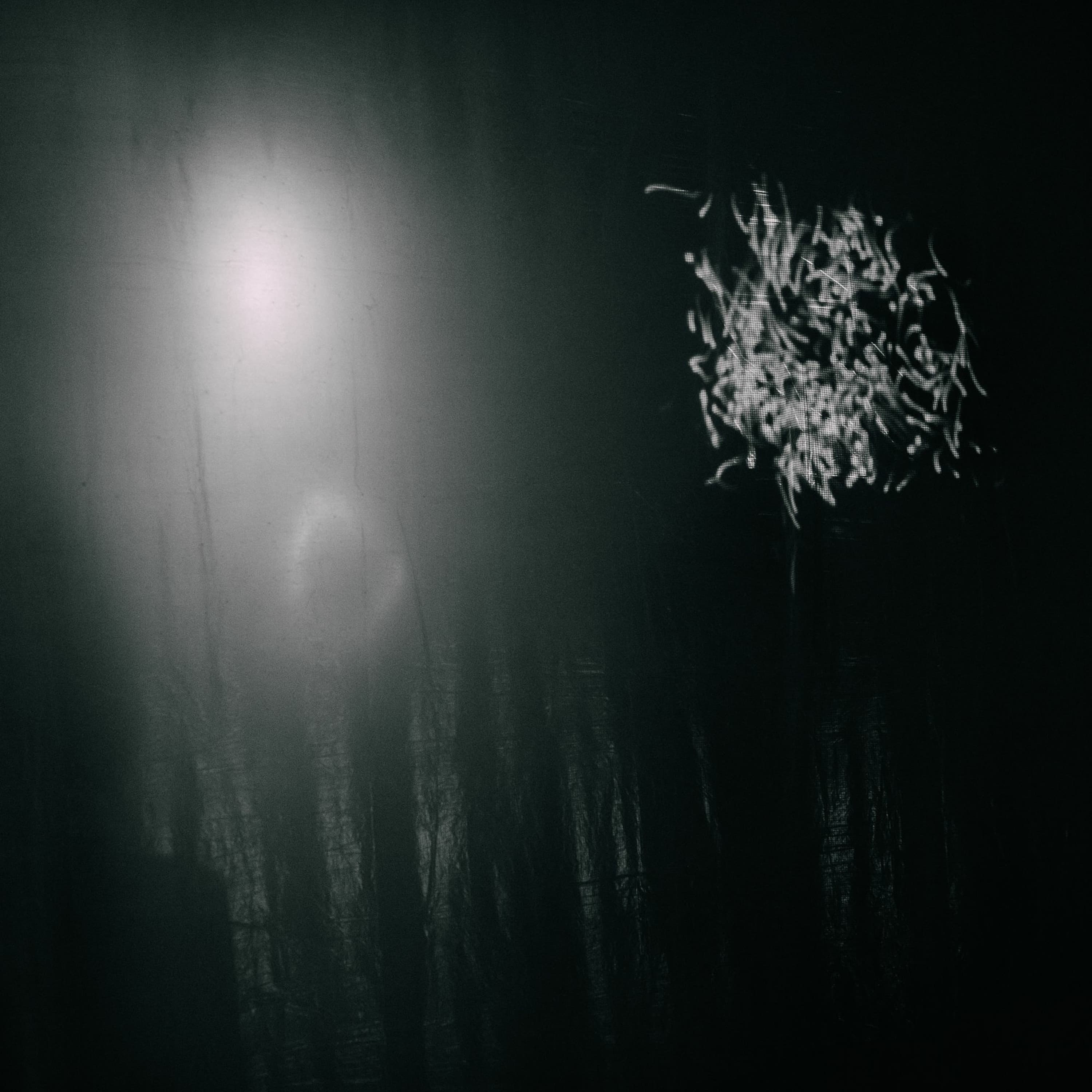 EXTRA: Talking Mephitic Air - This Side of Reality cover