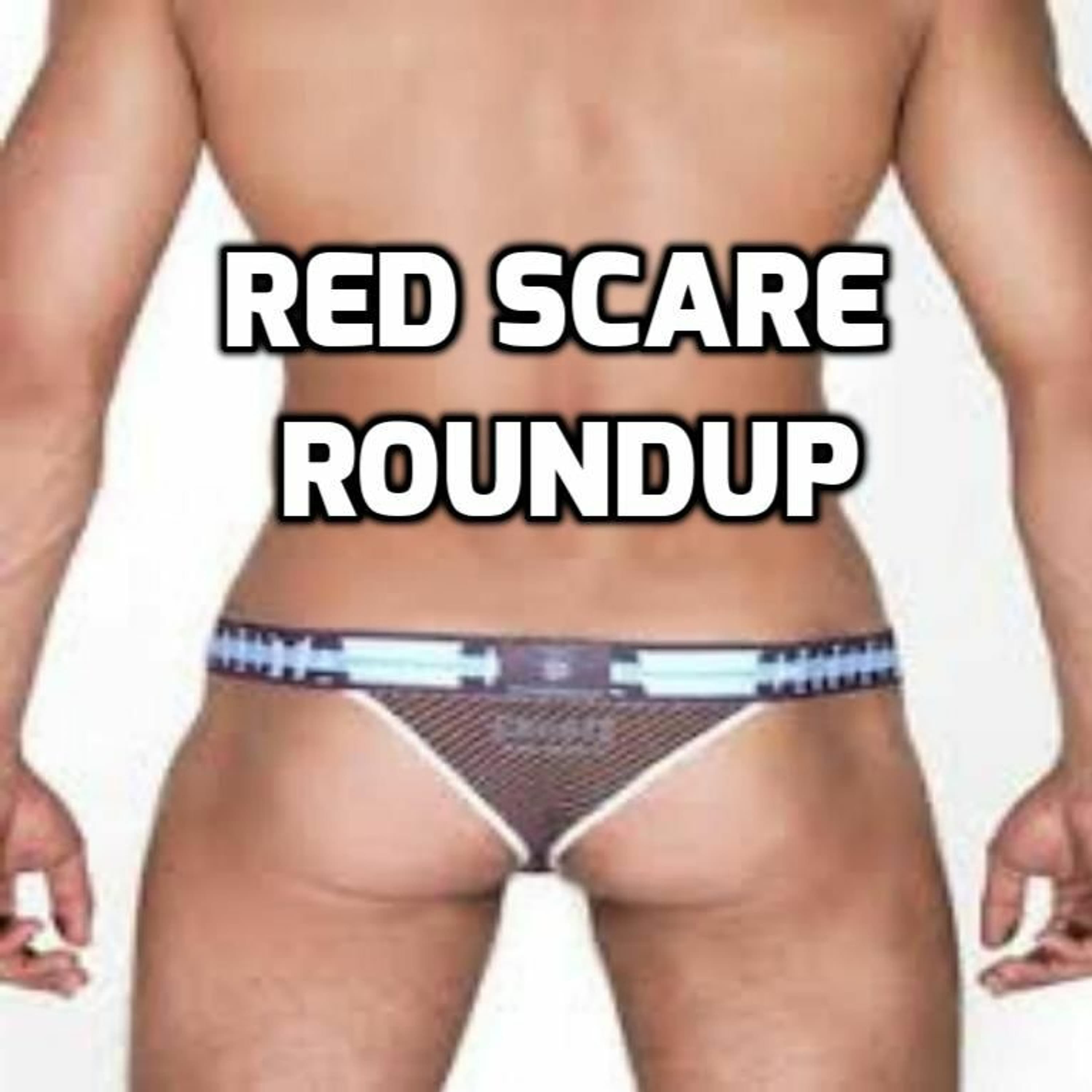 Infocucks - The Dup cover