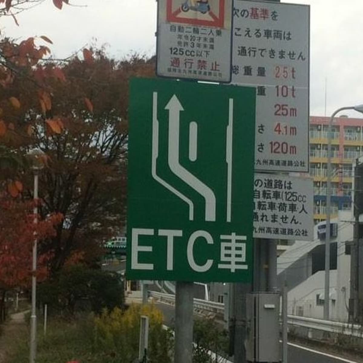 Metamorphosis - Radius Etc cover