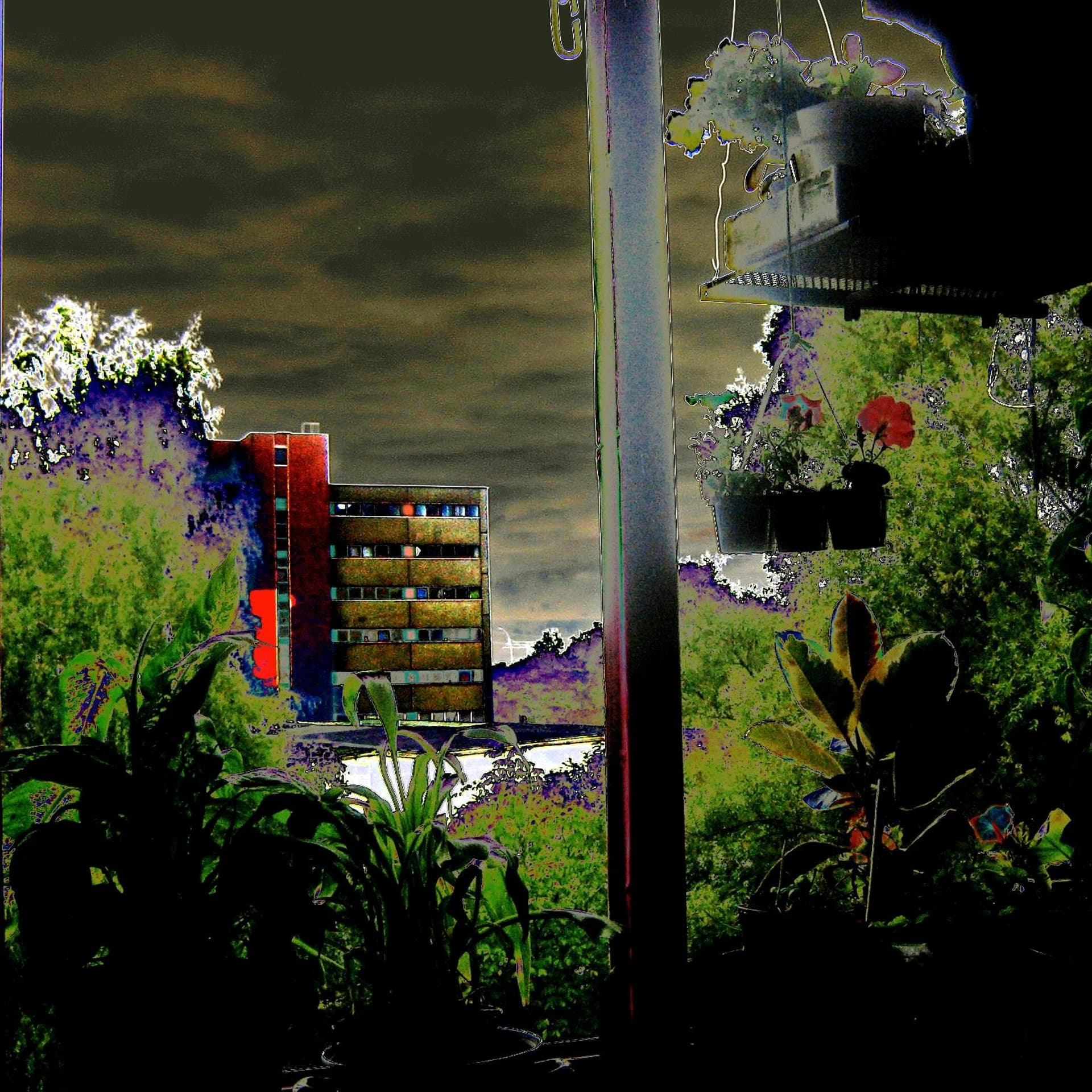 Frank Zappa Straße Marzahn-Berlin-DDR - the view from my window (take 1) - 6.47am today - mauxuam cover