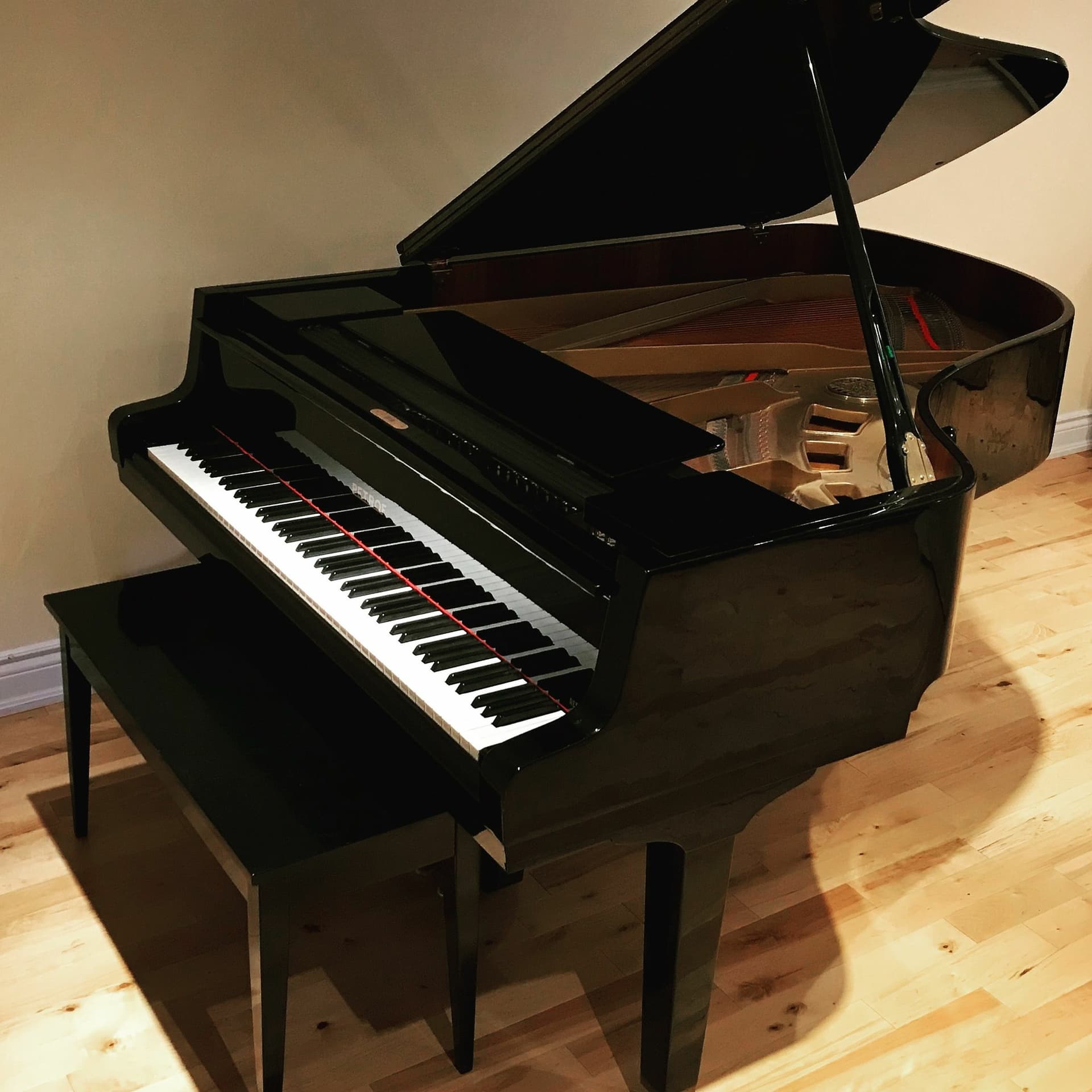 J. S. Bach - Goldberg Variations - Aria - PianoJim on SoundCloud cover